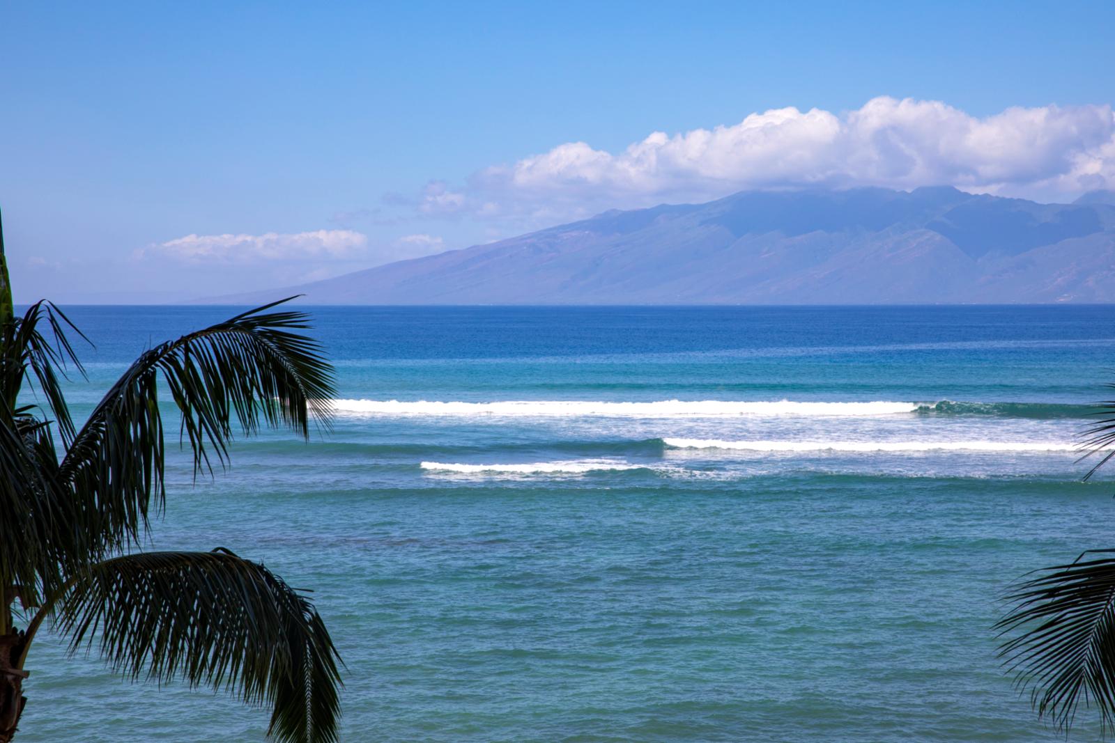 Property Image 1 - VIR-508 Property Manager: VIR-508 - Fifth floor condo with ocean front views on Kahana Bay!