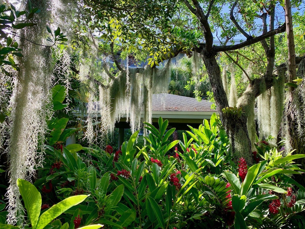 Our Botanical gardens
