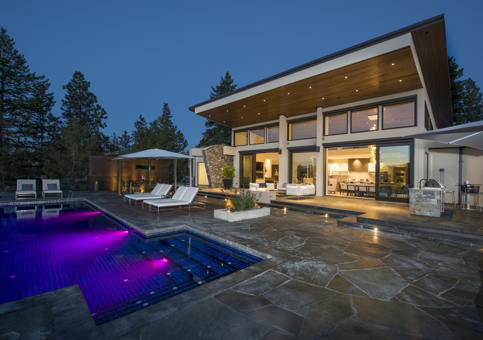 Property Image 1 - LAKEVIEW LUXURY HOME in vineyard w/infinity pool& hot tub
