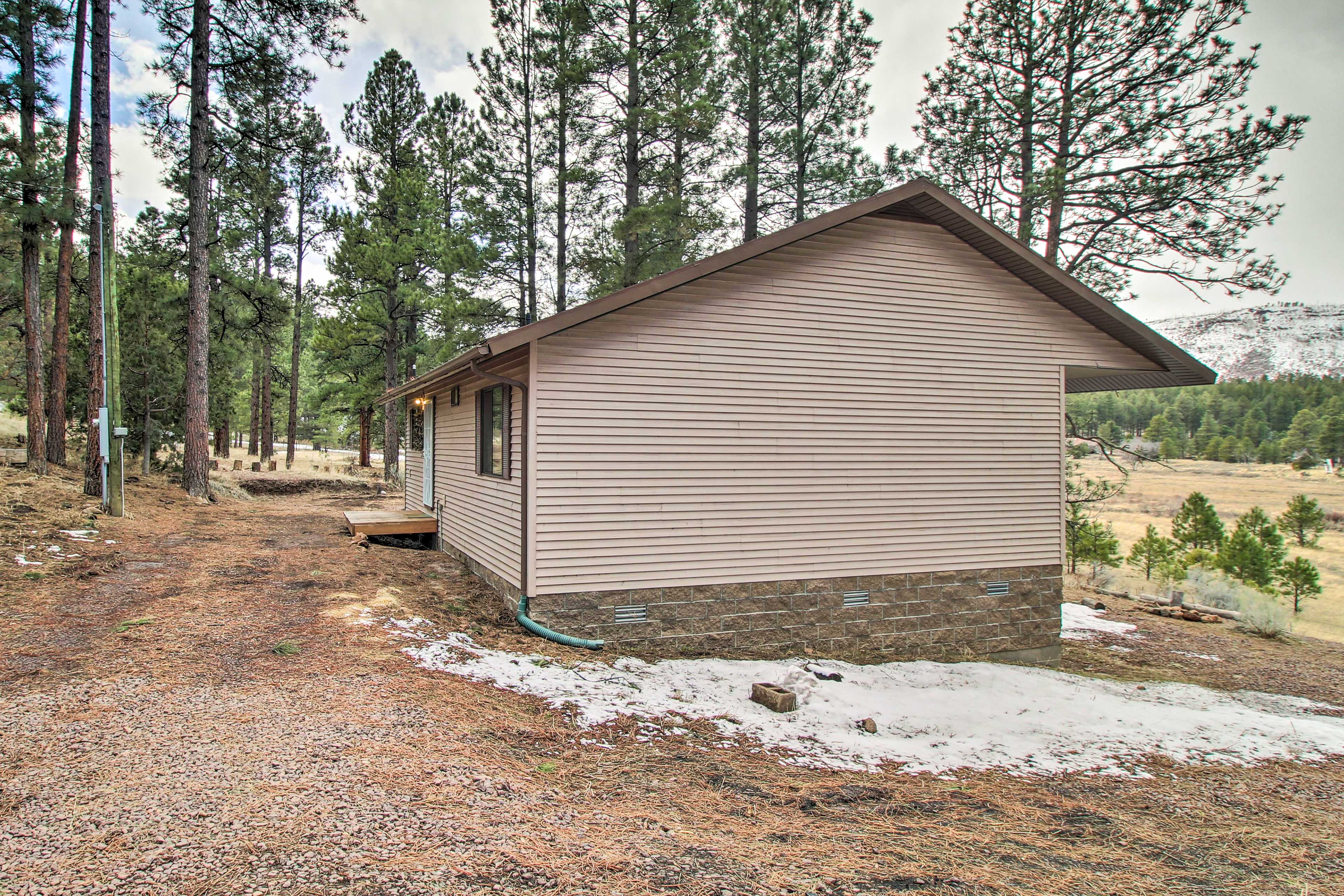 Property Image 2 - Peaceful Nutrioso Cabin Retreat w/ Mountain Views!