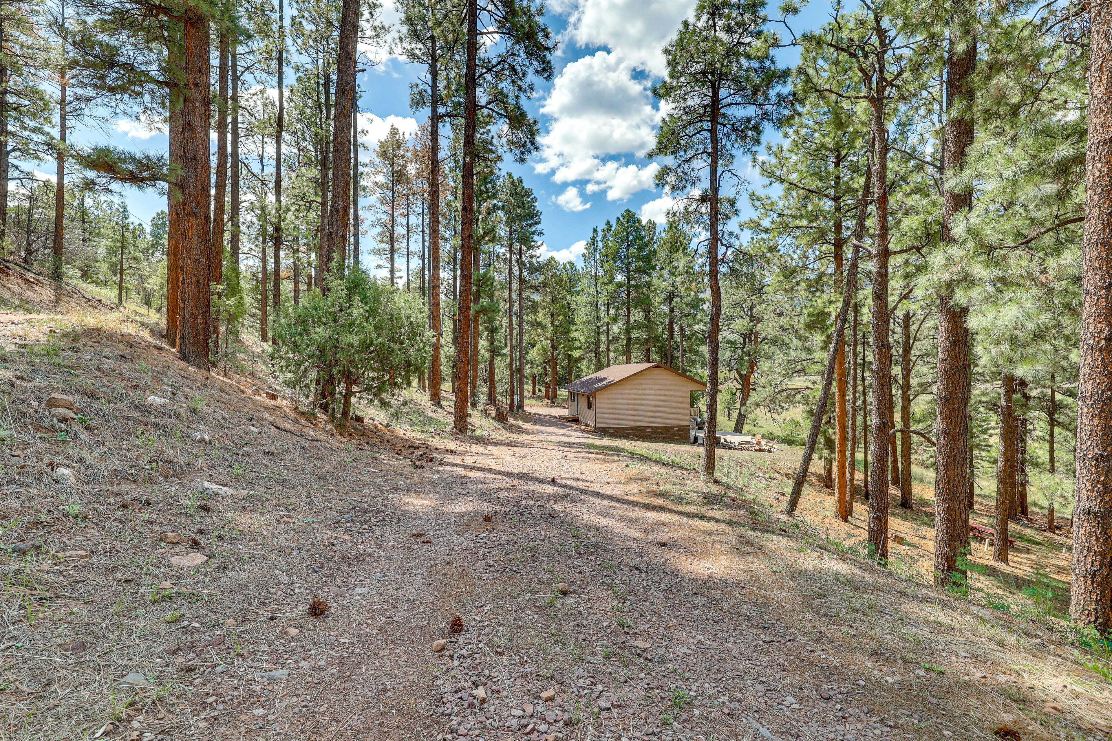 Peaceful Nutrioso Cabin Retreat w/ Mountain Views!