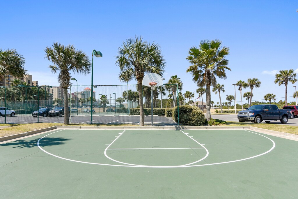 Basketball Court