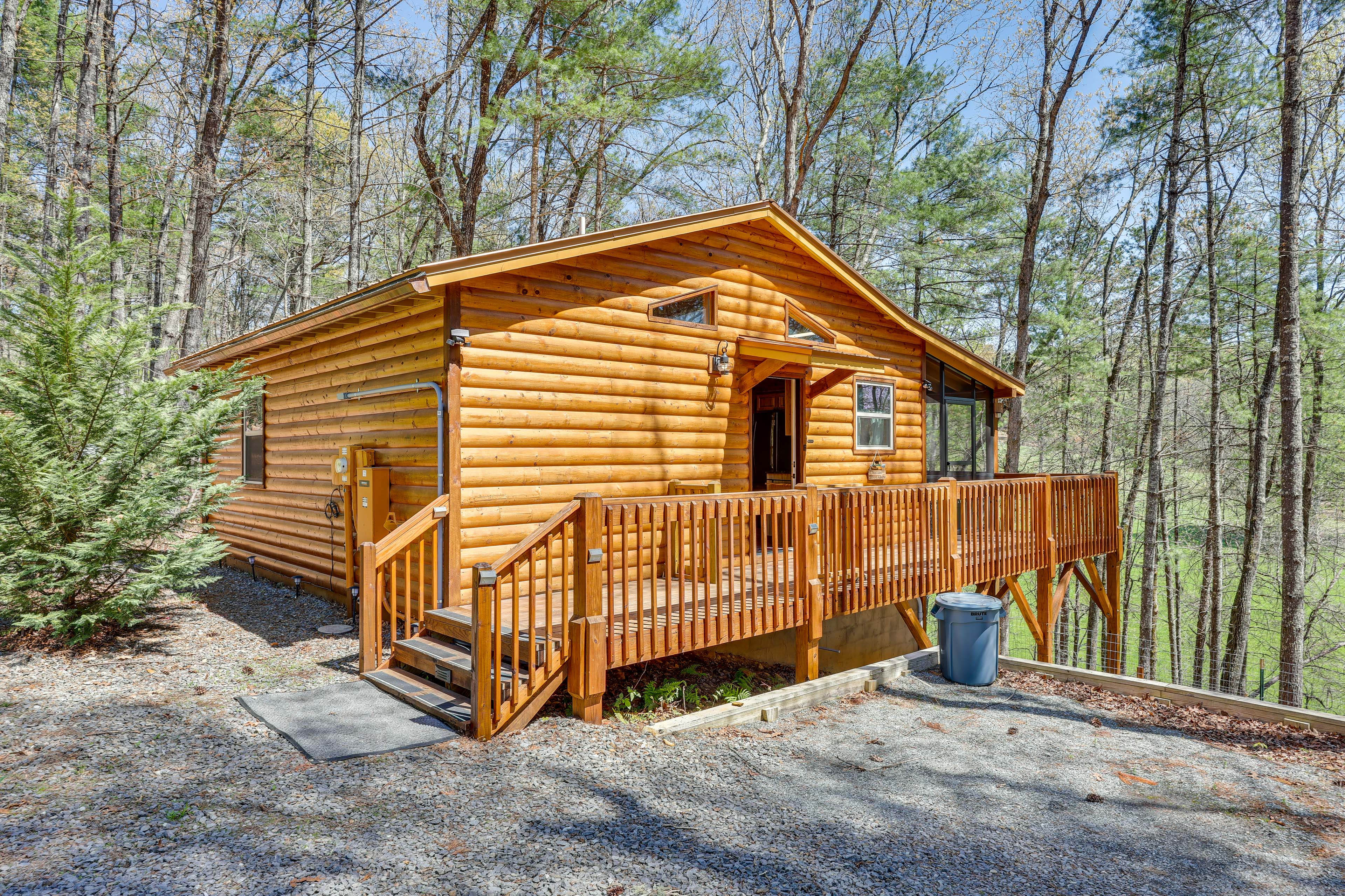 Property Image 1 - Stunning Murphy Cabin - 5 Mi to Cherokee Lake!