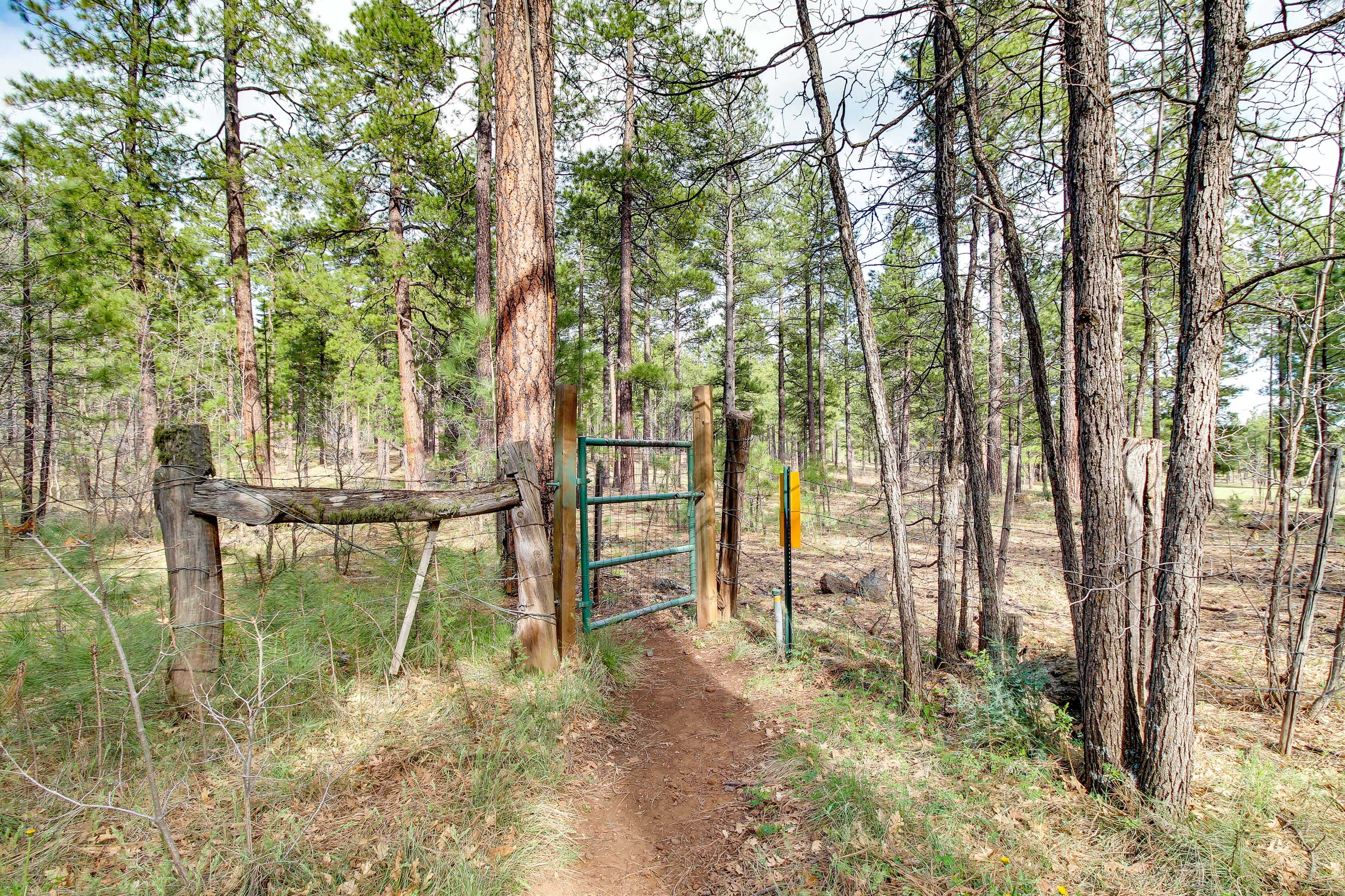 Property Image 2 - Spacious Pinetop-Lakeside Home w/ Deck - Near Golf