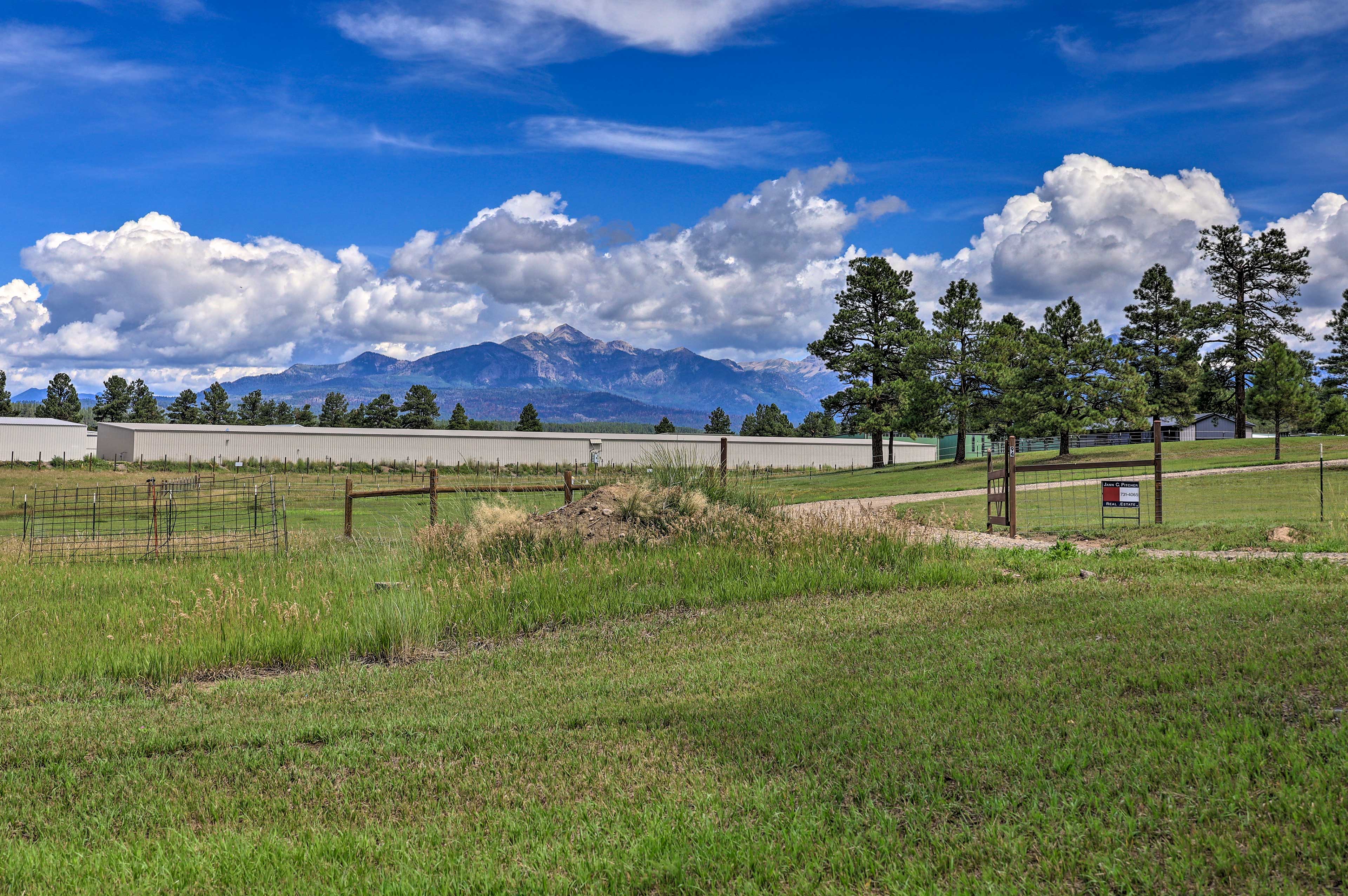 Property Image 1 - Peaceful Pagosa Springs Escape ~ 2 Mi to Lake