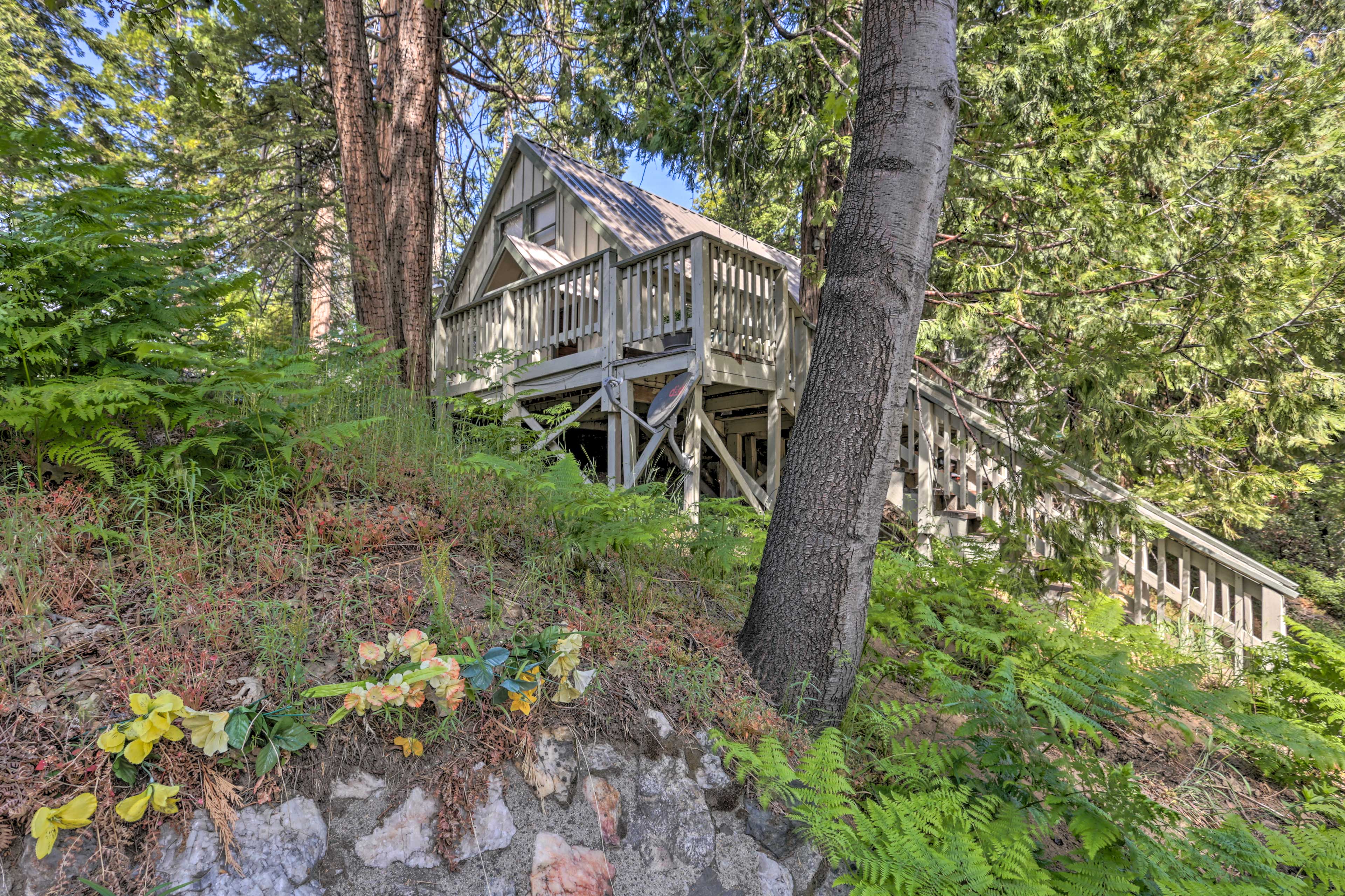 Property Image 1 - Cozy Cabin w/ Deck < 1 Mi to Shaver Lake!