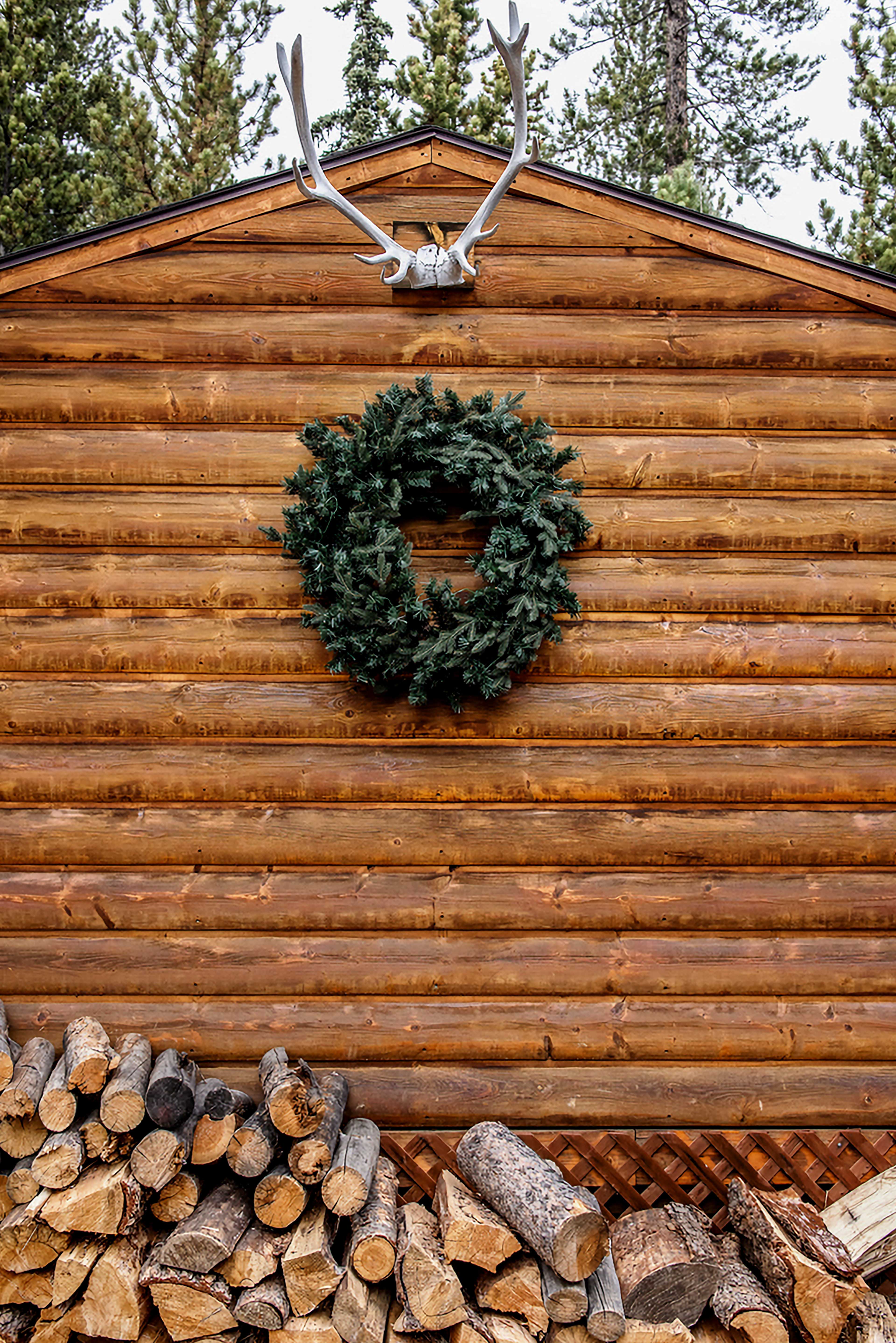 Property Image 1 - Remodeled Fairplay Log Cabin w/ Sauna + Loft!