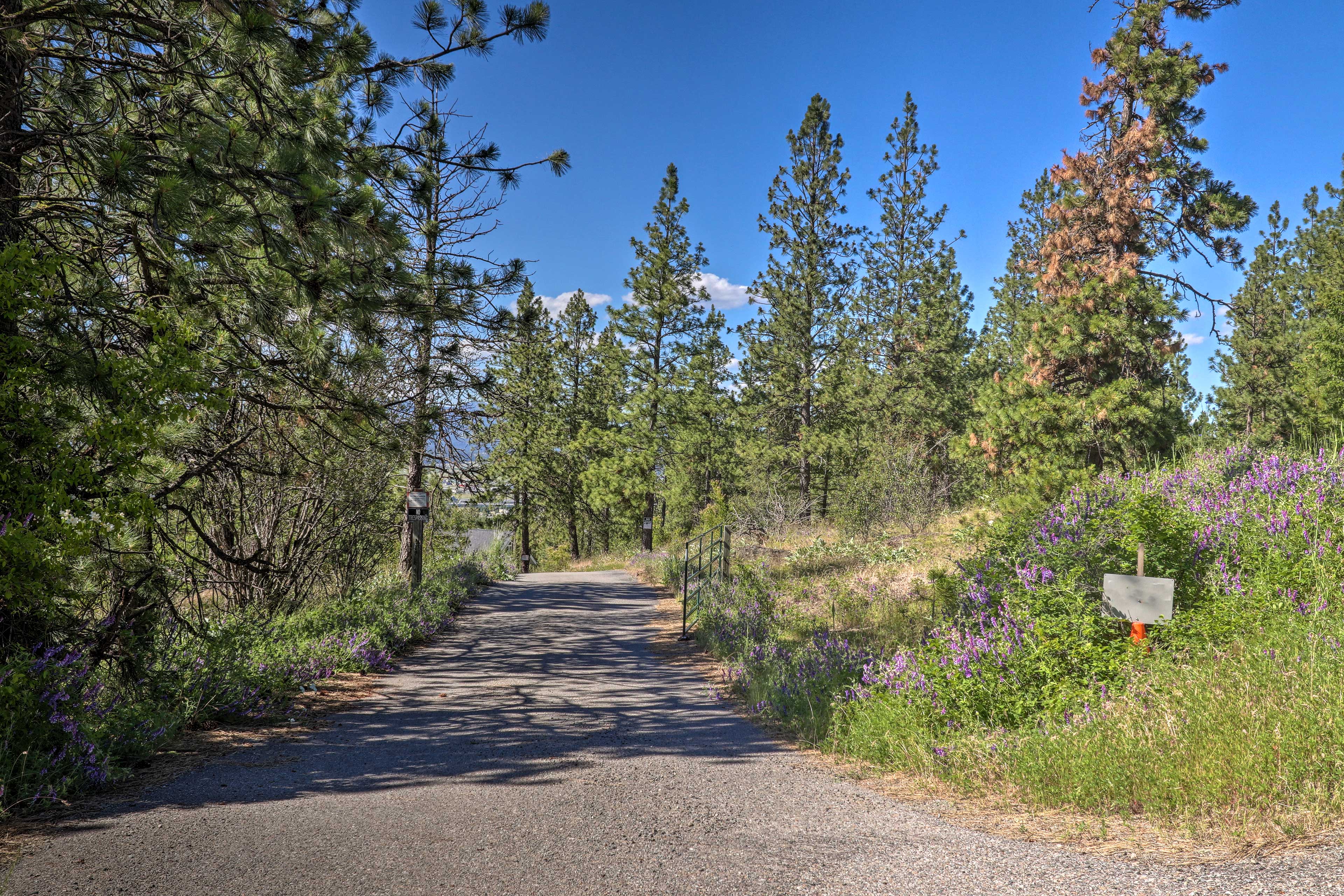 Property Image 2 - Secluded Home w/ Pool ~ 14 Mi to Coeur d’Alene!