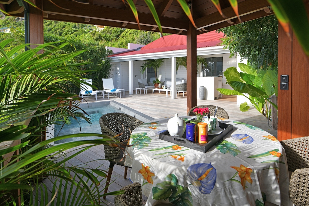 Small fully equipped outdoor kitchen, refrigerator, freezer, dishwasher, oven, Lavazza espresso coffee maker, toaster, kettle, juicer, blender, gas barbecue. Gazebo with outdoor table for four, HD-TV, French and American satellite, Apple TV. 