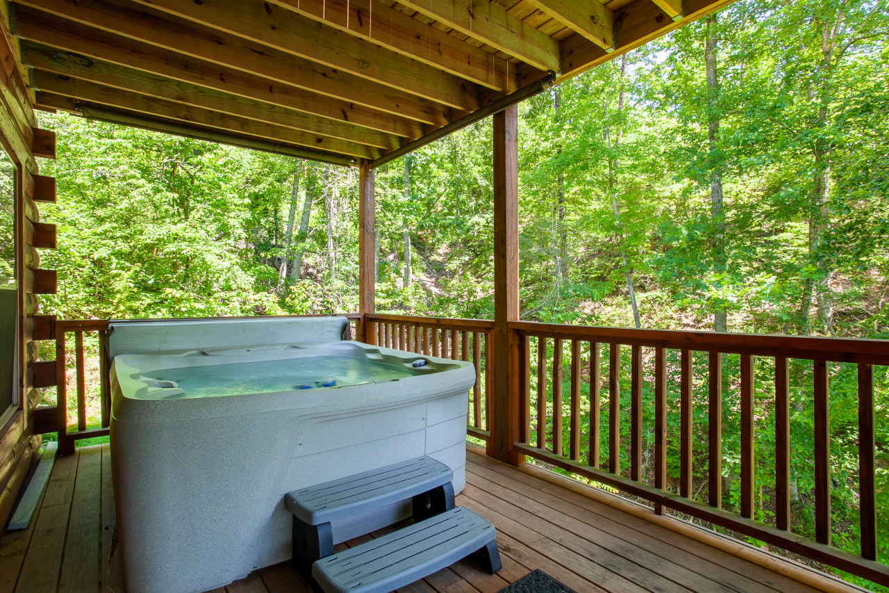 Property Image 2 - Timber Woods Lodge-View, Hot Tub,Game-Theater Room