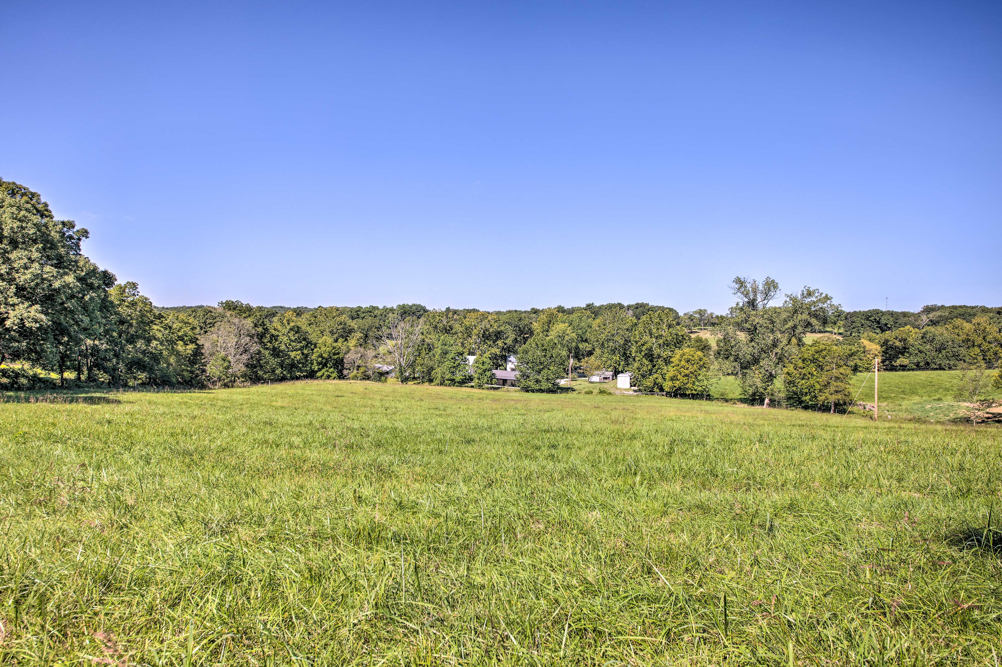 Property Image 1 - Peaceful Guest Home w/ Patio on 152-Acre Farm