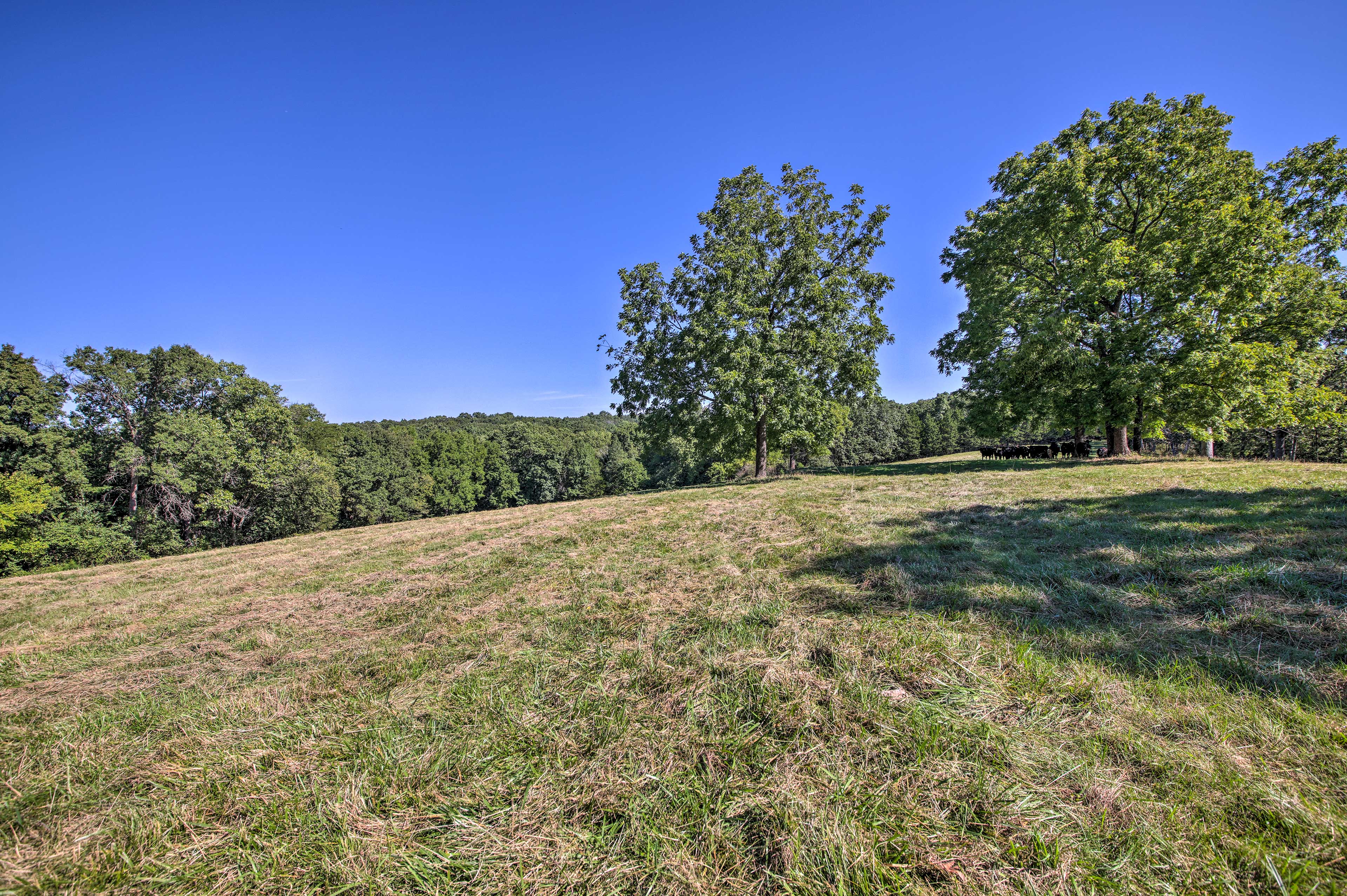 Property Image 2 - Peaceful Guest Home w/ Patio on 152-Acre Farm