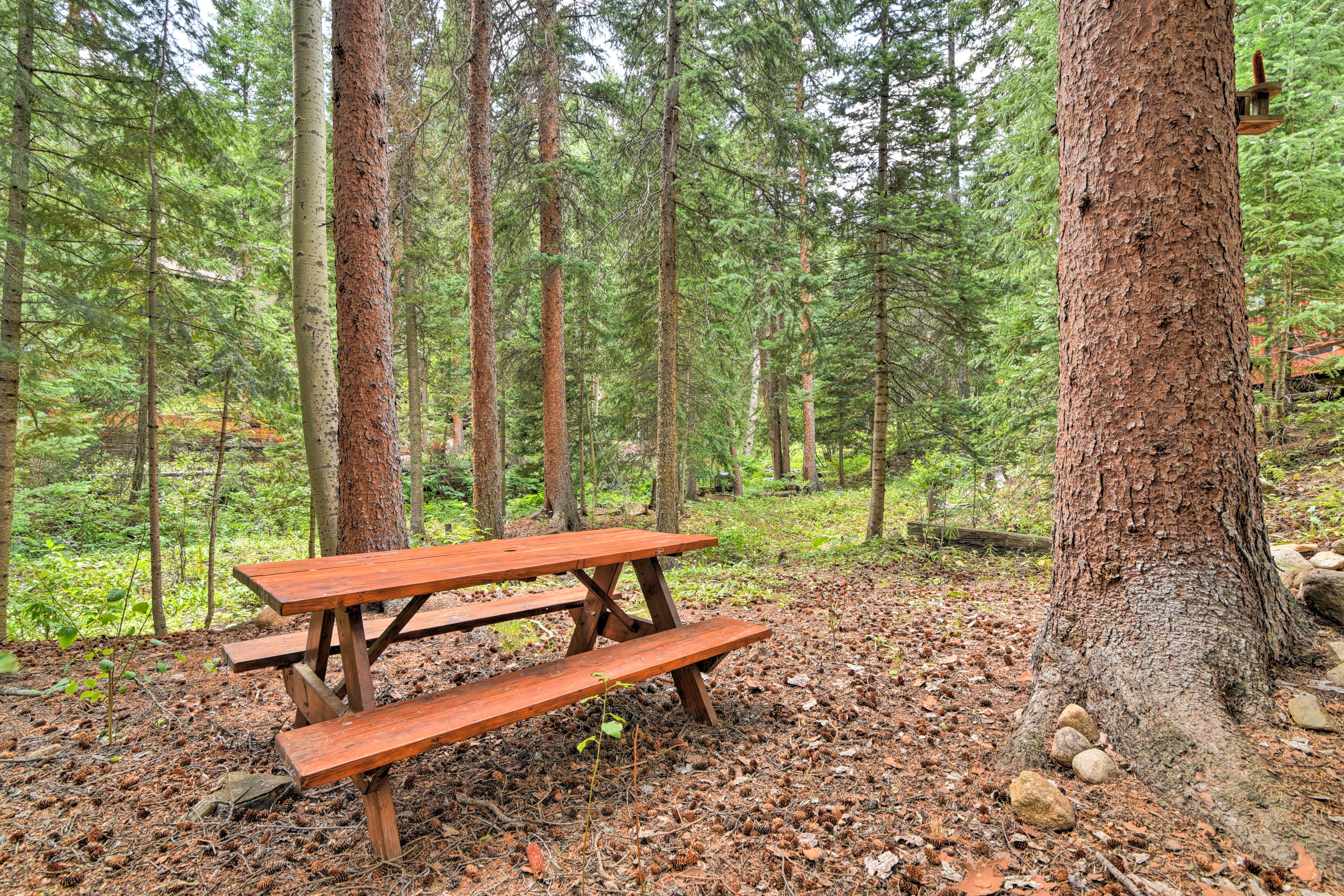 Dumont Cabin w/ Hot Tub - 22 Mi to Ski Slopes!