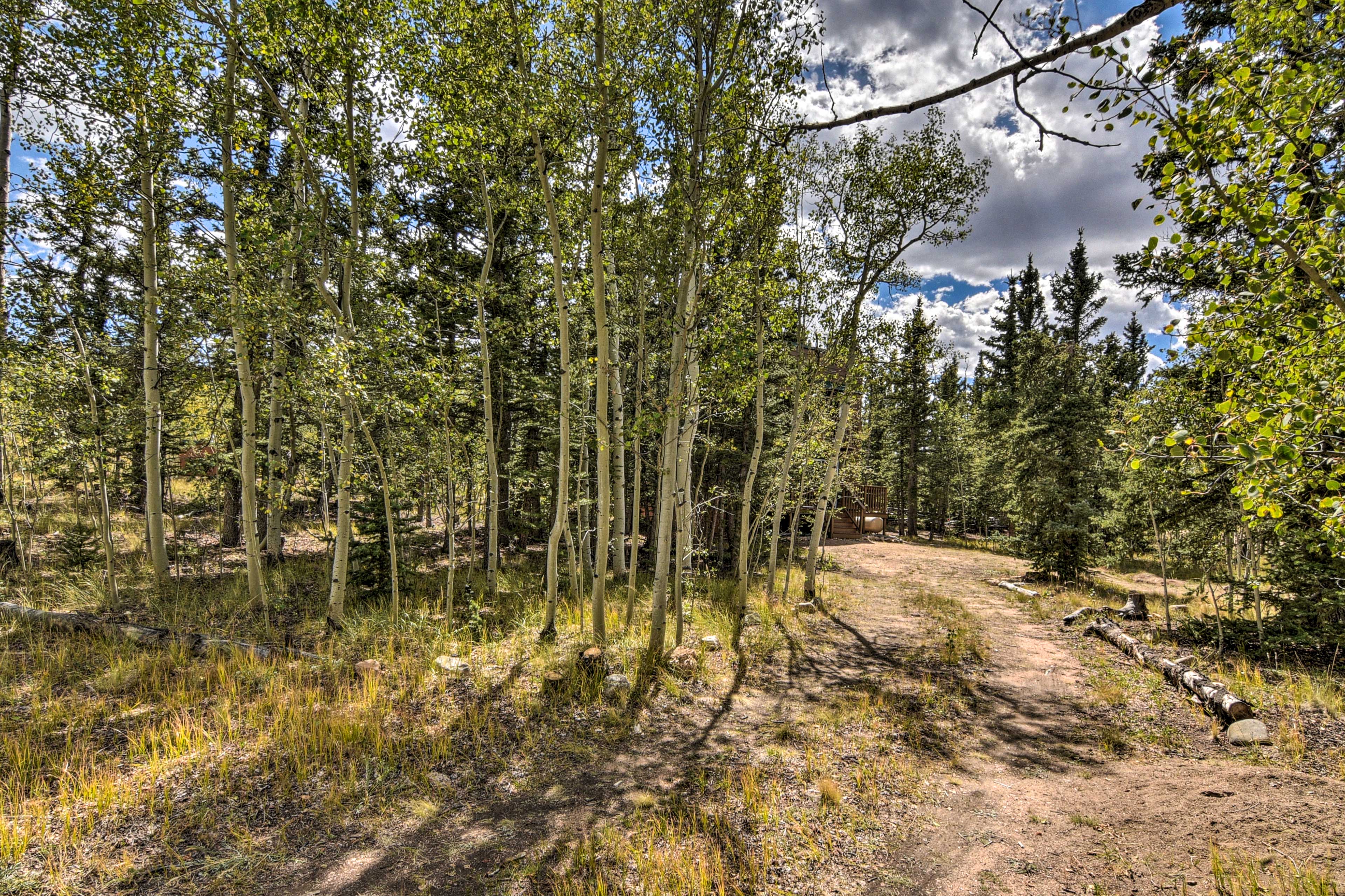 Property Image 1 - Woodsy Cabin Hideaway w/ Deck: Hike, Fish, Escape