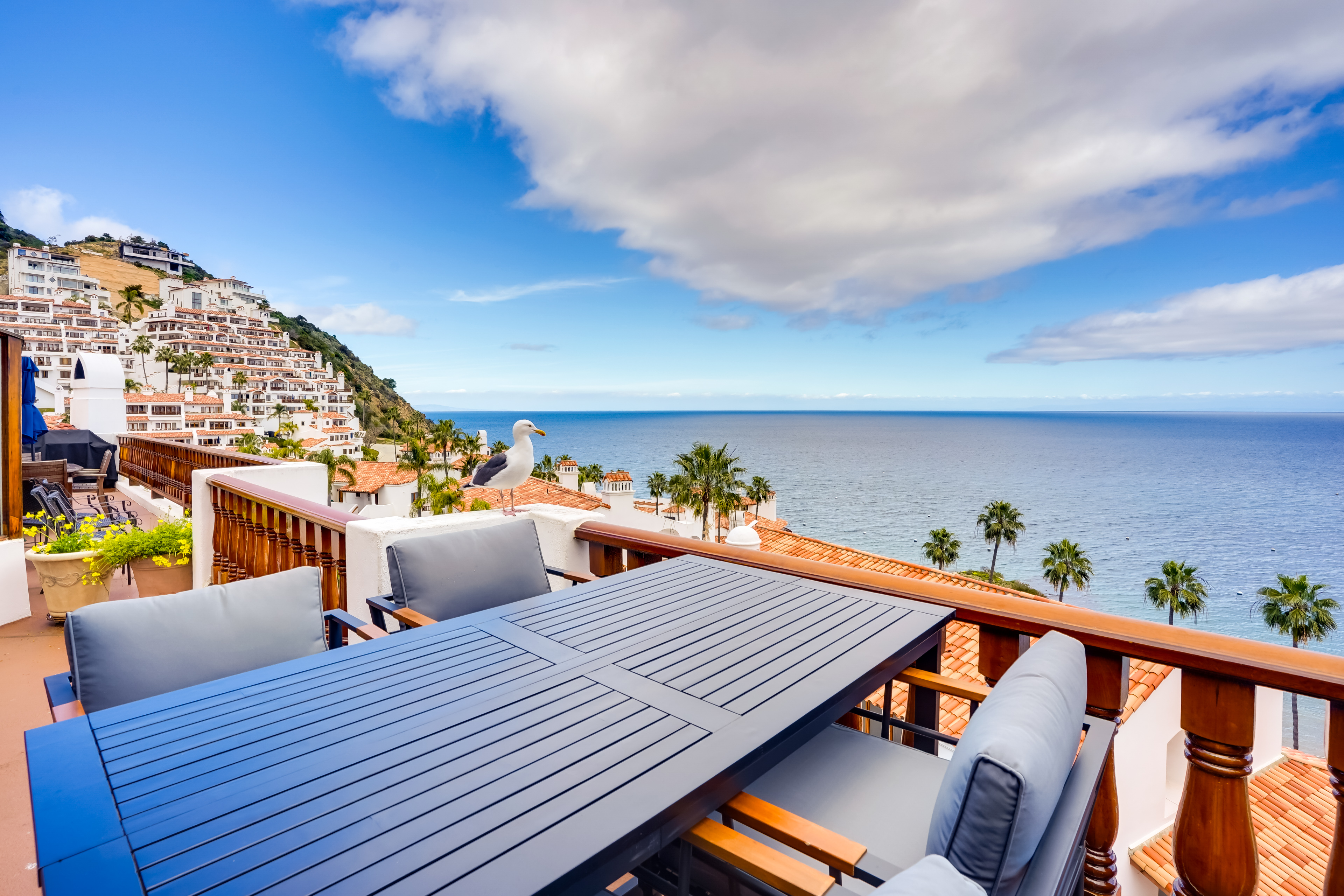 Property Image 1 - Bright Catalina Island Condo w/ Ocean Views!