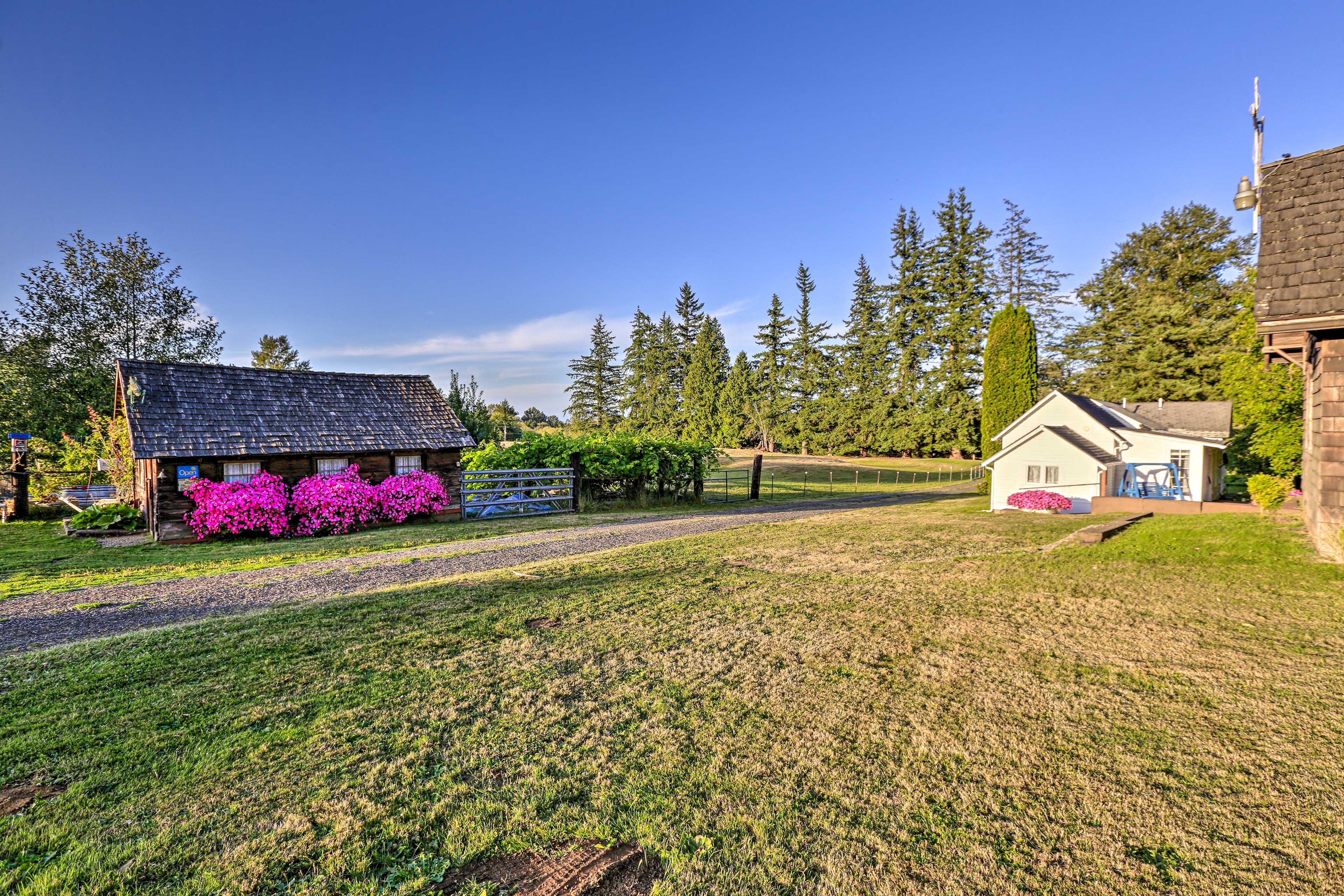 Property Image 1 - Ferndale Cottage on Private 20 Acre Farm!