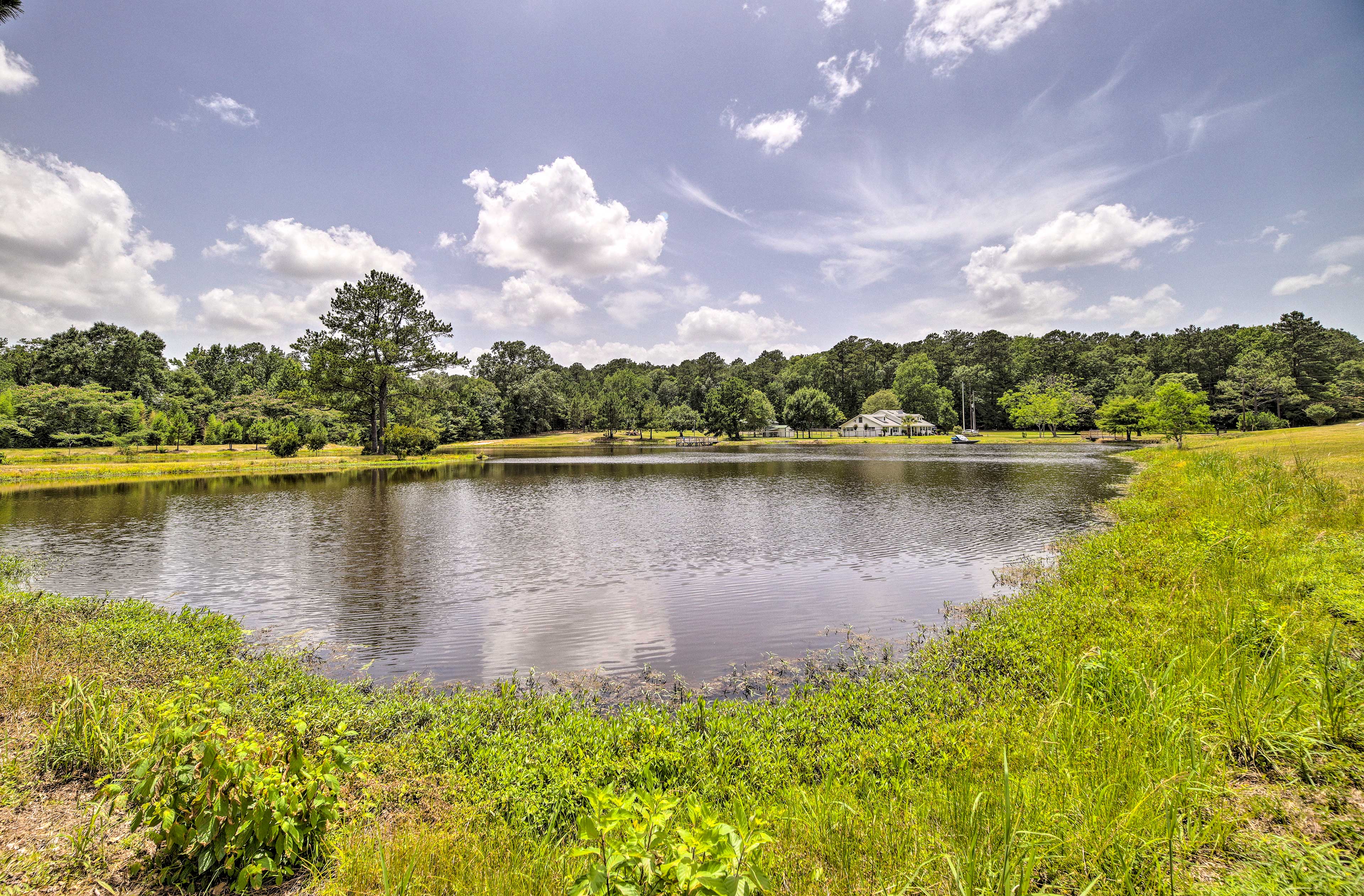 Property Image 2 - Stylish Woodville Cabin: Fishing Dock Access!