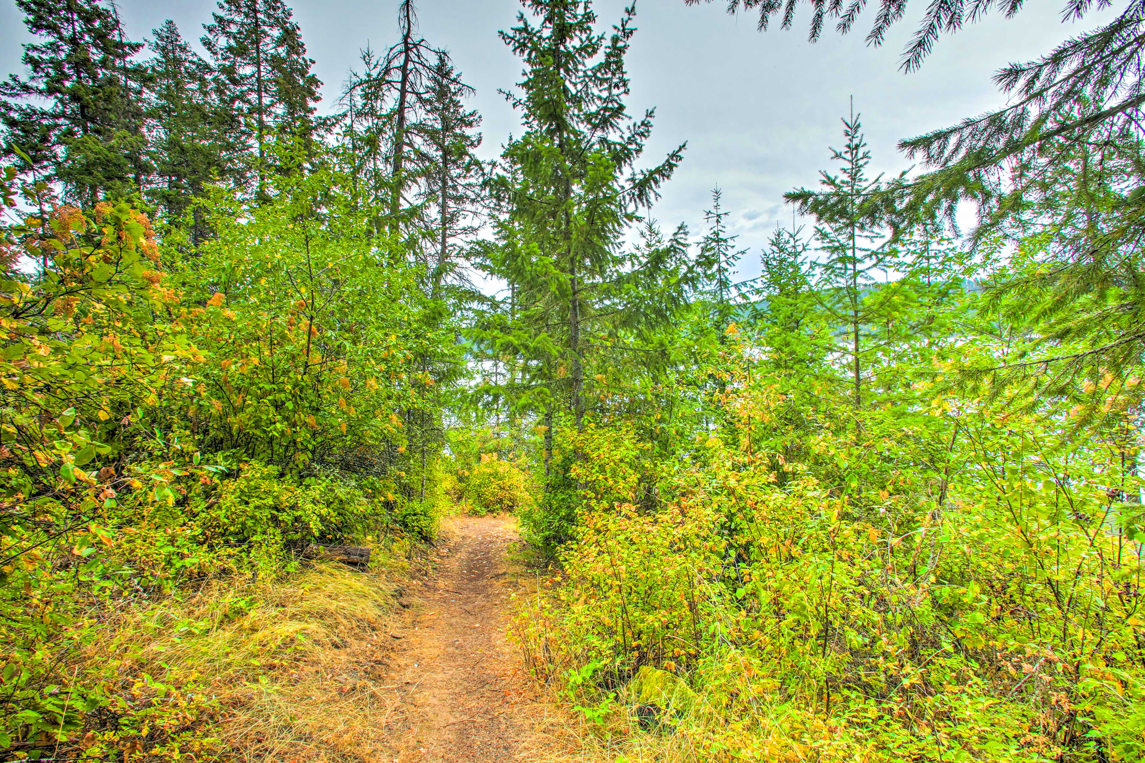 Property Image 2 - Remote Escape: Serene Lakeside Cabin w/ Beach