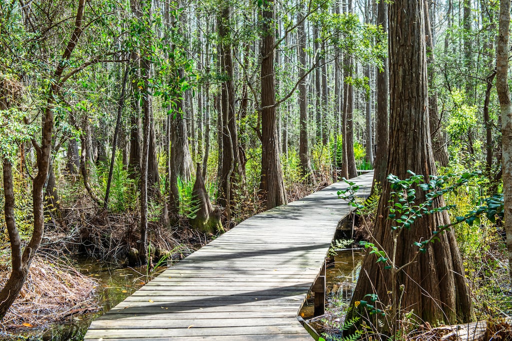 Lots of walking paths to enjoy 