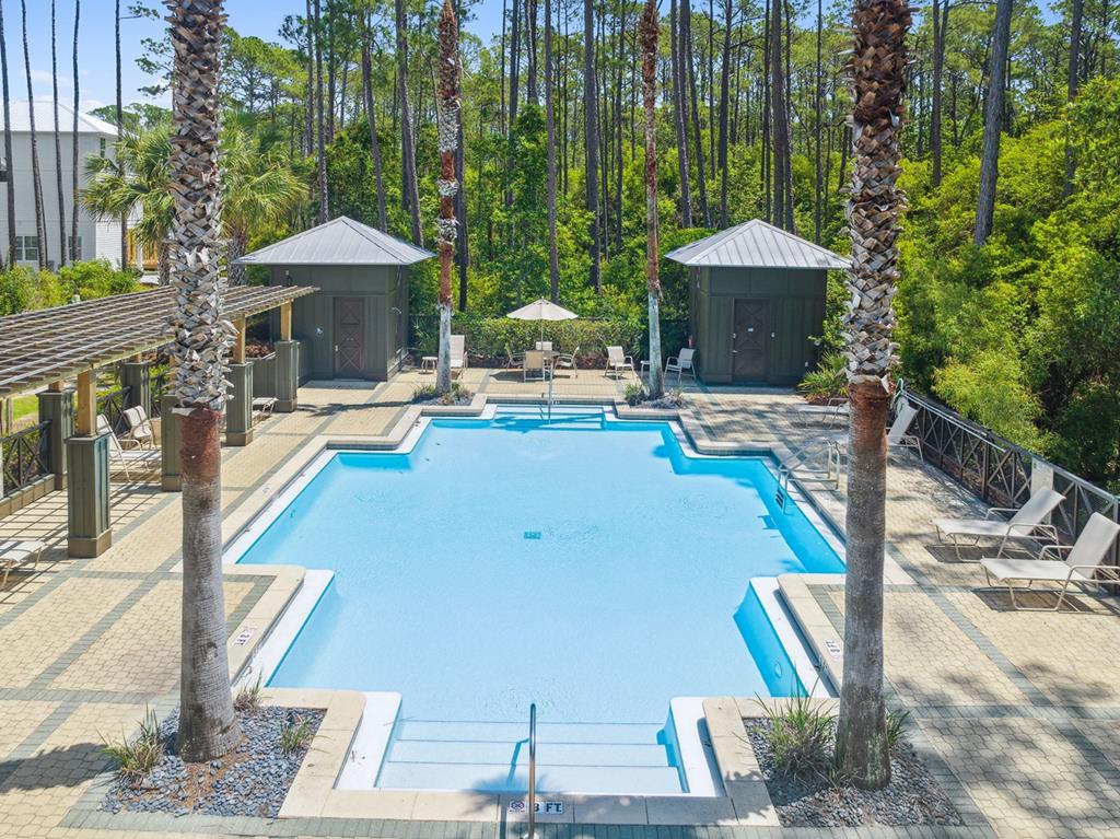 Treetop Pool