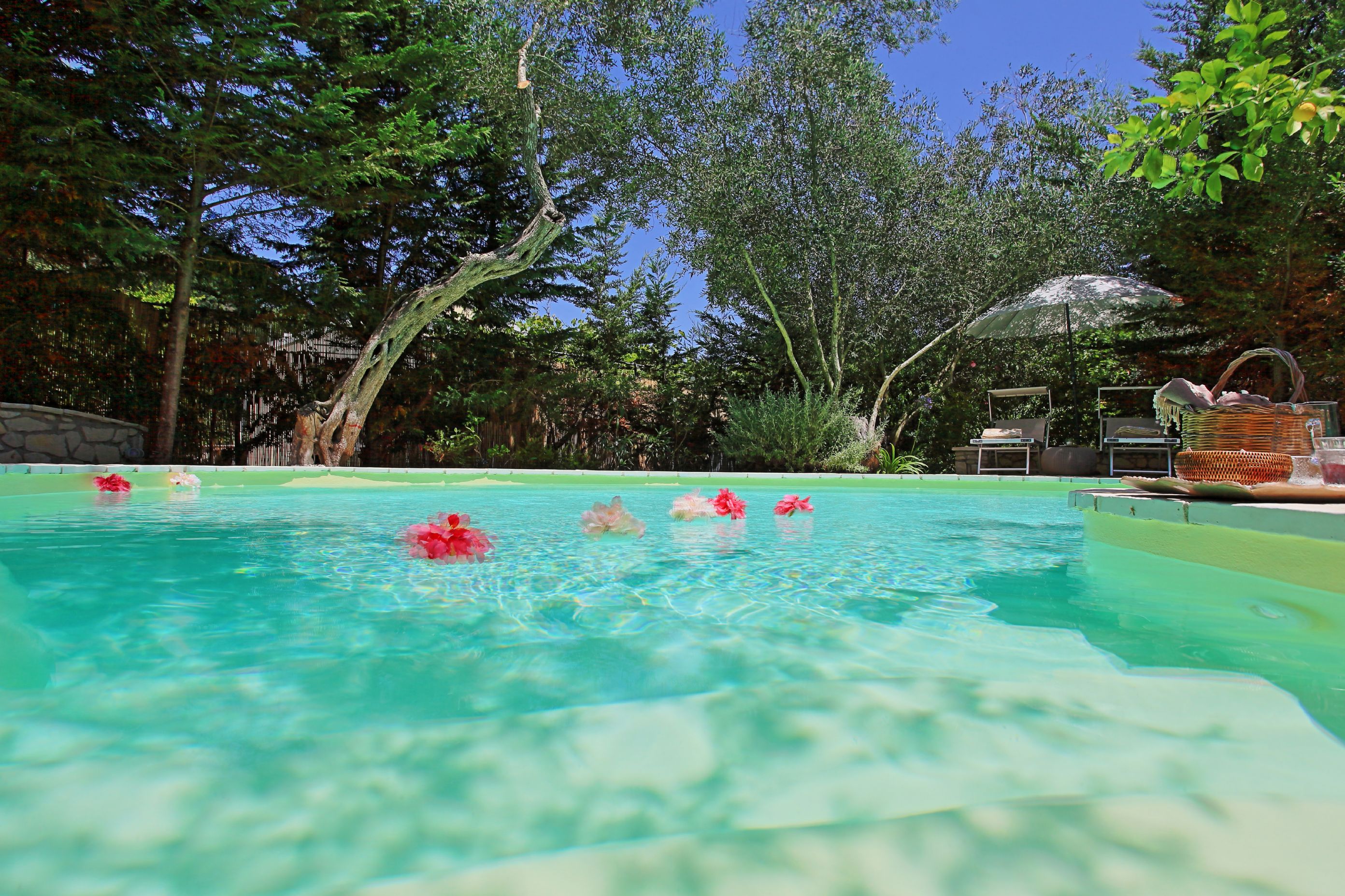 Roman steps into the pool