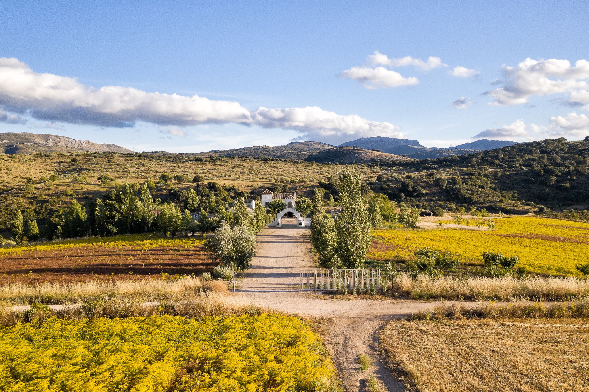 Ronda Mountain Resort - Luxury Retreat in Ronda