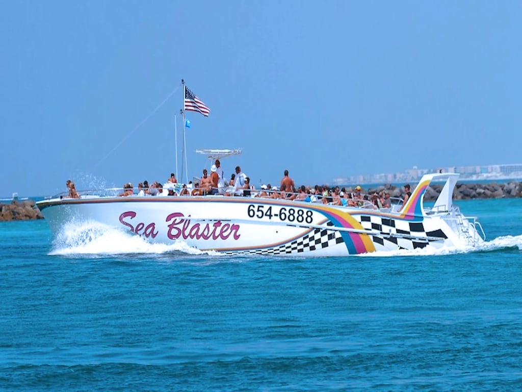 SeaBlaster Dolphin Cruise 