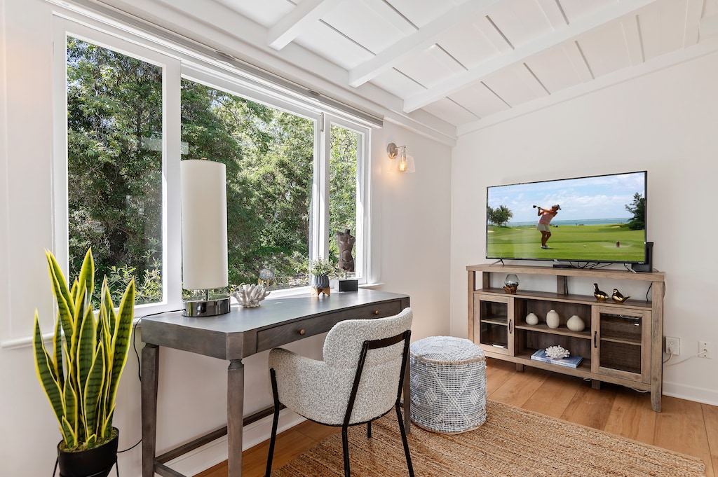 Den/Work from home area