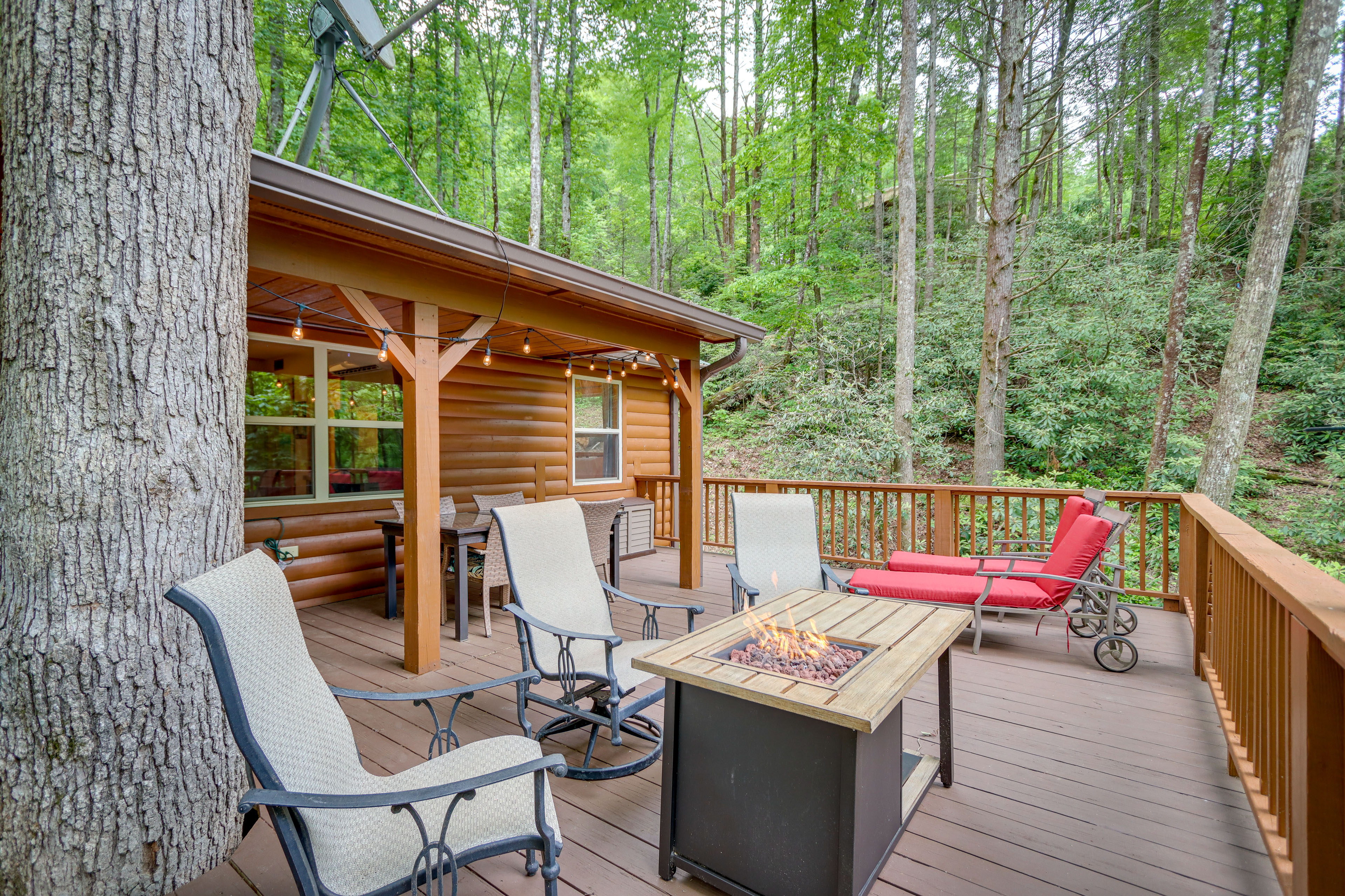 Property Image 1 - Remote Escape: Murphy Cozy Cabin in the Woods