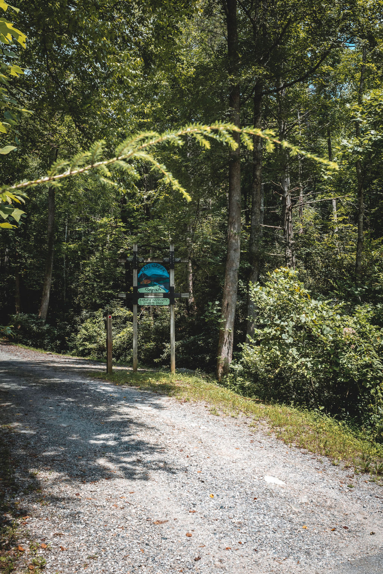 Pine Crest Cabin | Hot Tub | Pet Friendly