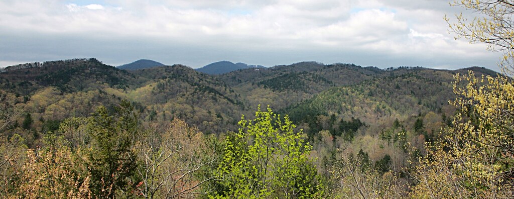 Black Bear Lodge at Leatherwood Mountains