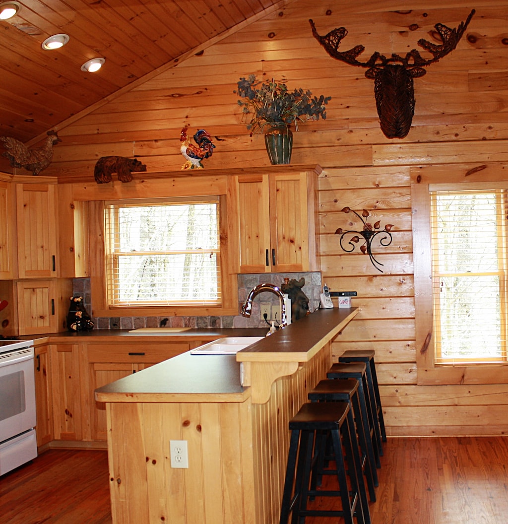 Black Bear Lodge at Leatherwood Mountains