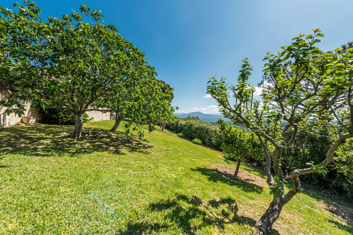 Villa Le Jardin Des Baous