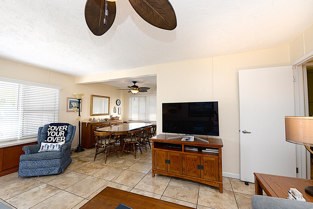 315 Eucalyptus Lower - TV area