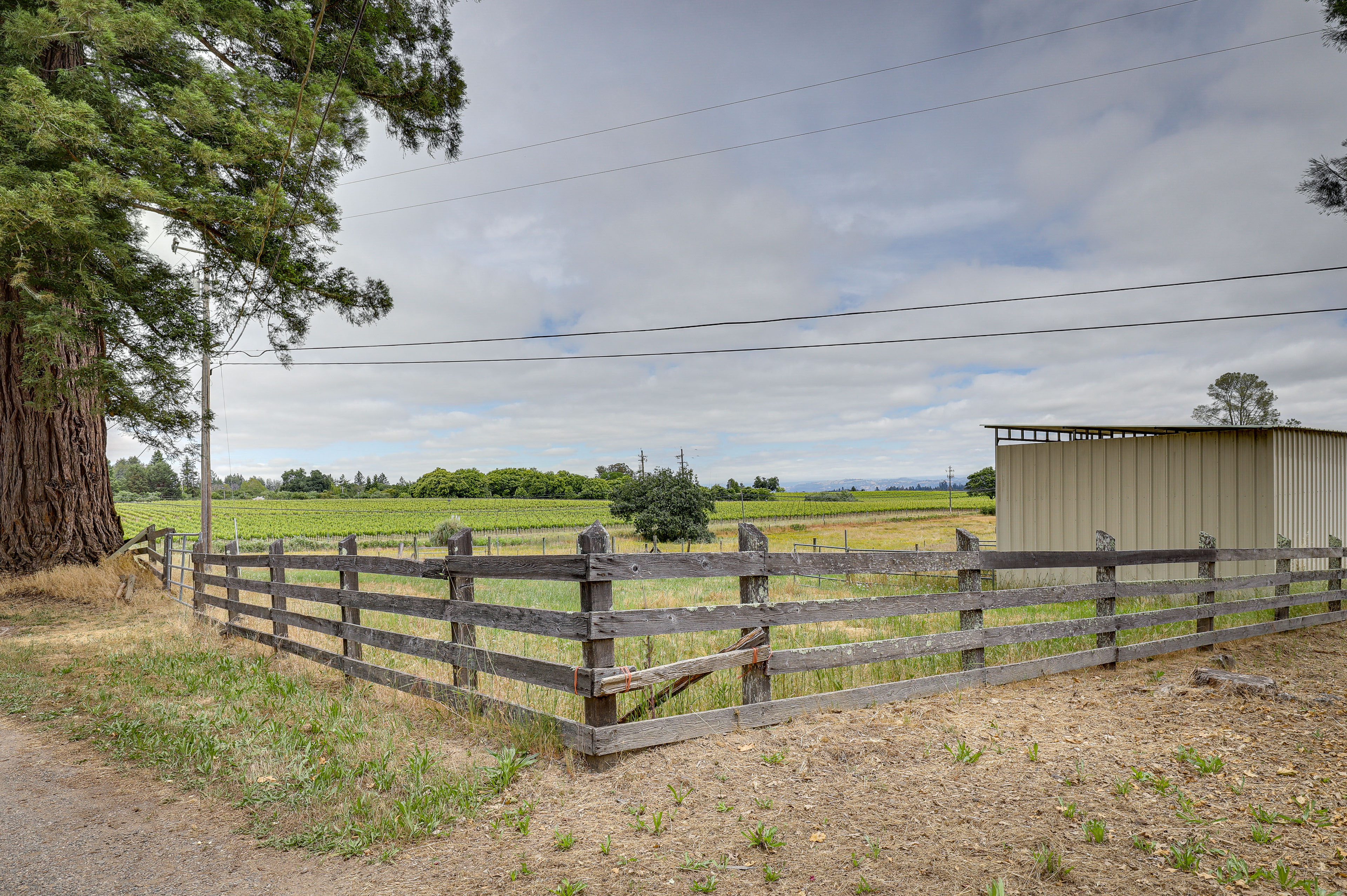 Property Image 2 - Sonoma County Vacation Rental w/ Vineyard Views!