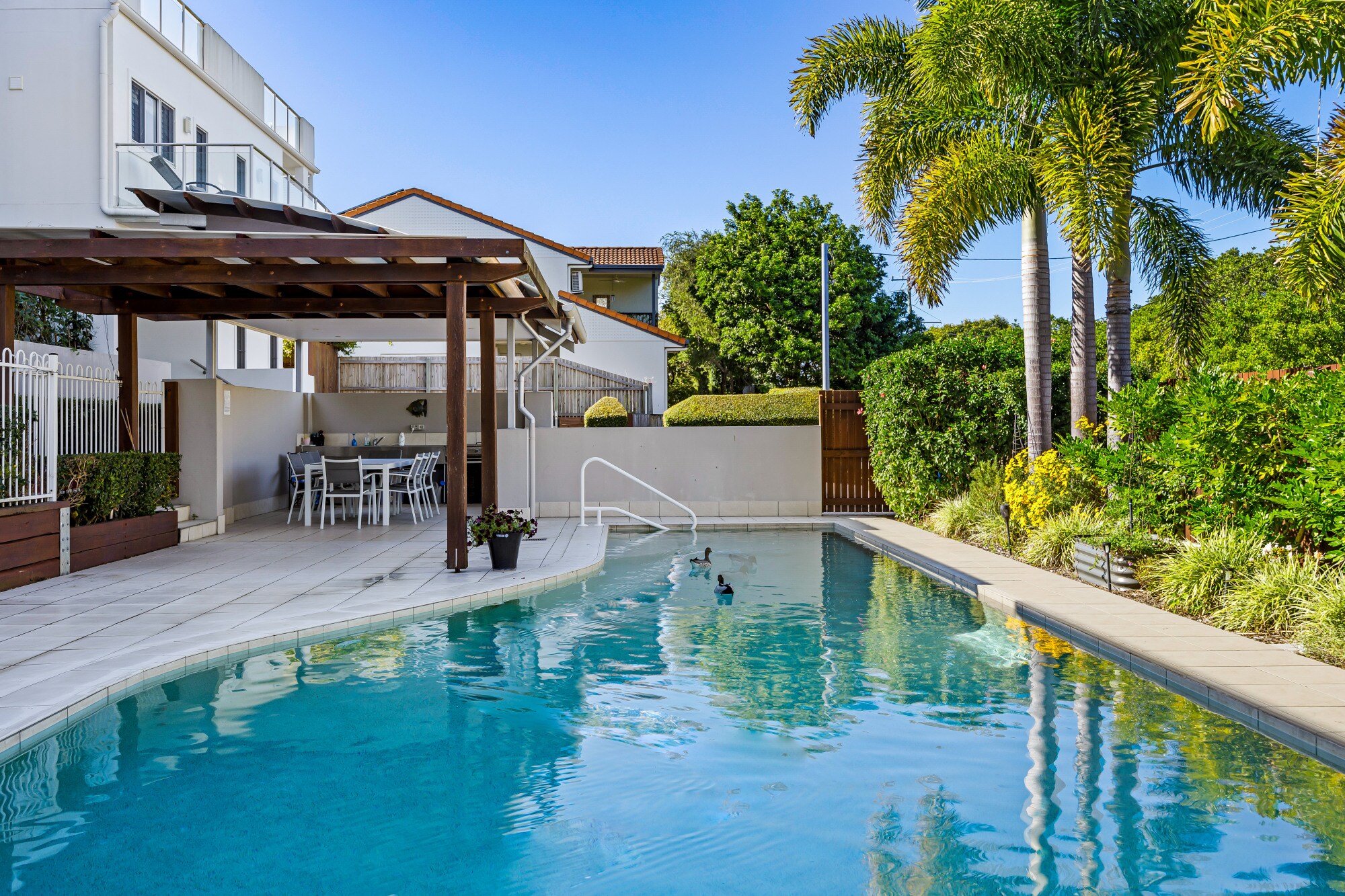 Communal Pool Communal Pool