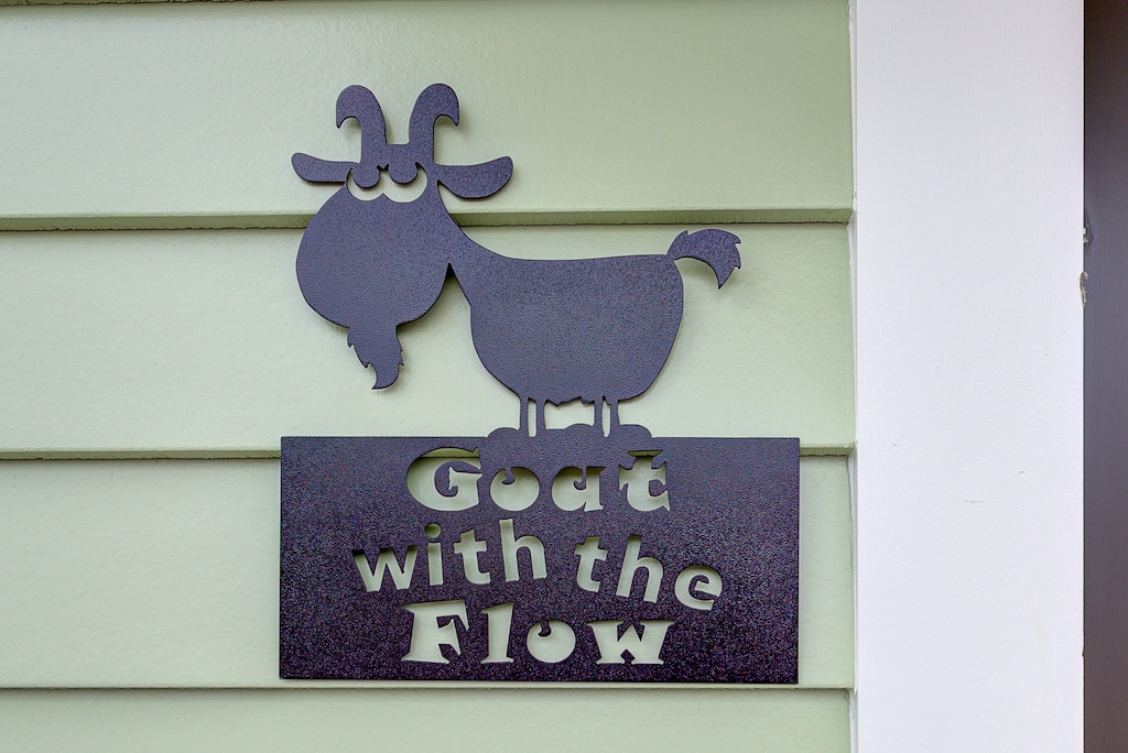 Kick back, relax, and Goat with the Flow!