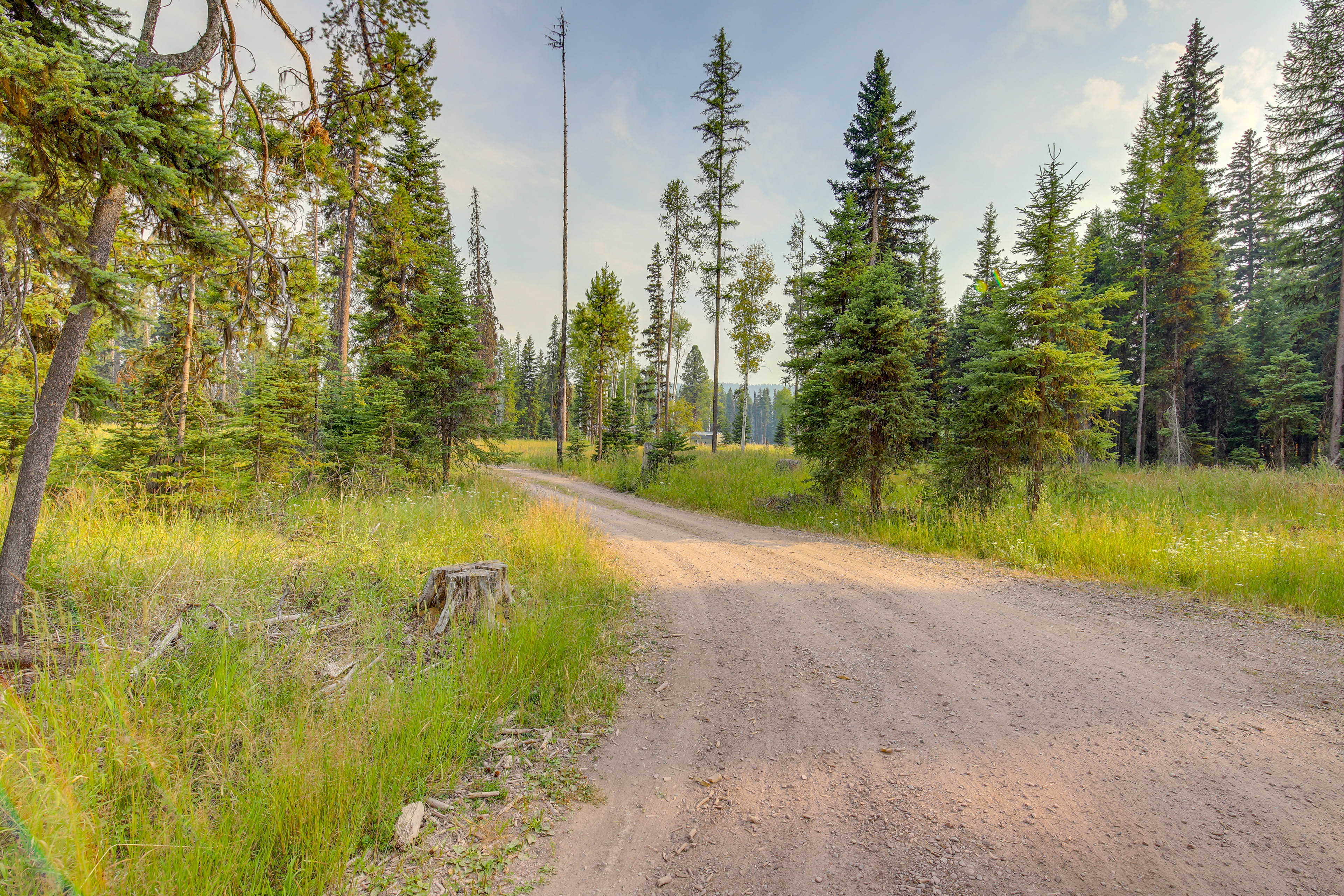 Property Image 2 - Hike, Bike & Boat: Cabin w/ Dock on Seeley Lake!