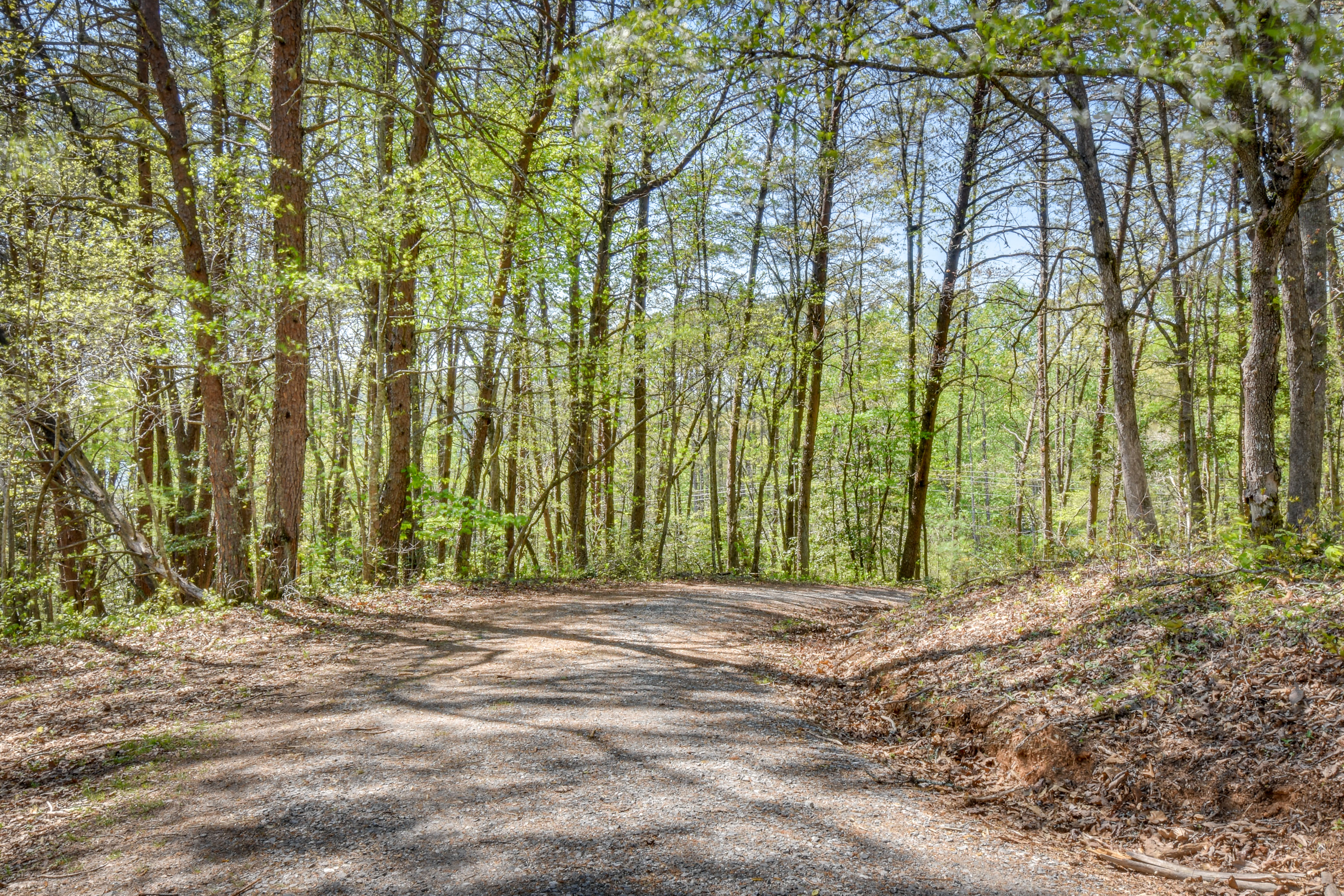 Property Image 1 - Secluded Hayesville Cabin Rental w/ Deck & Grill!