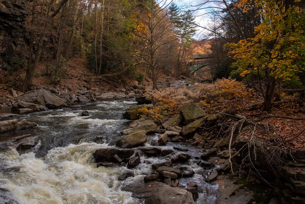 5 min drive to Potomac Falls