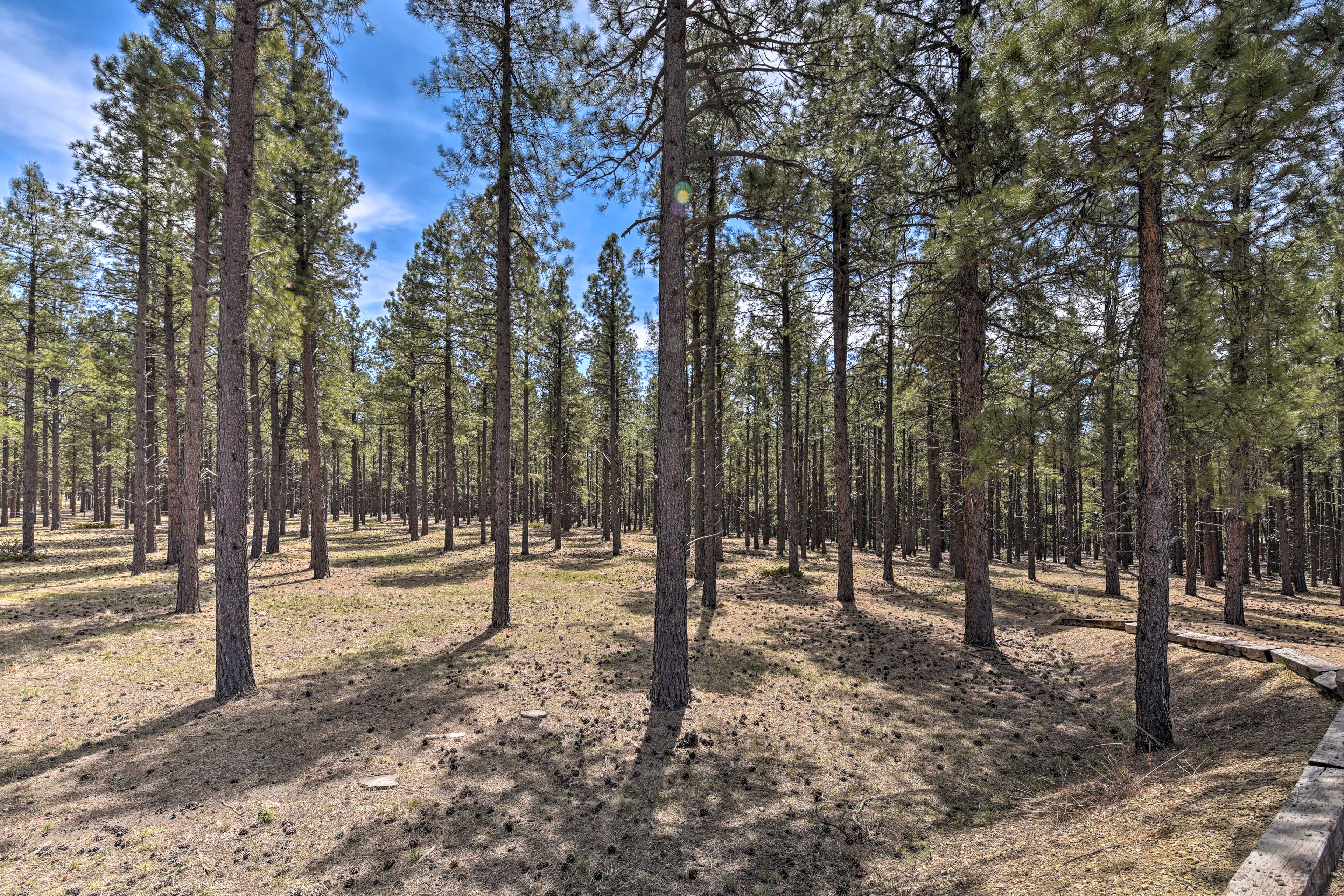 Property Image 1 - Grand Angel Fire Retreat w/ Hot Tub & Fire Pit!