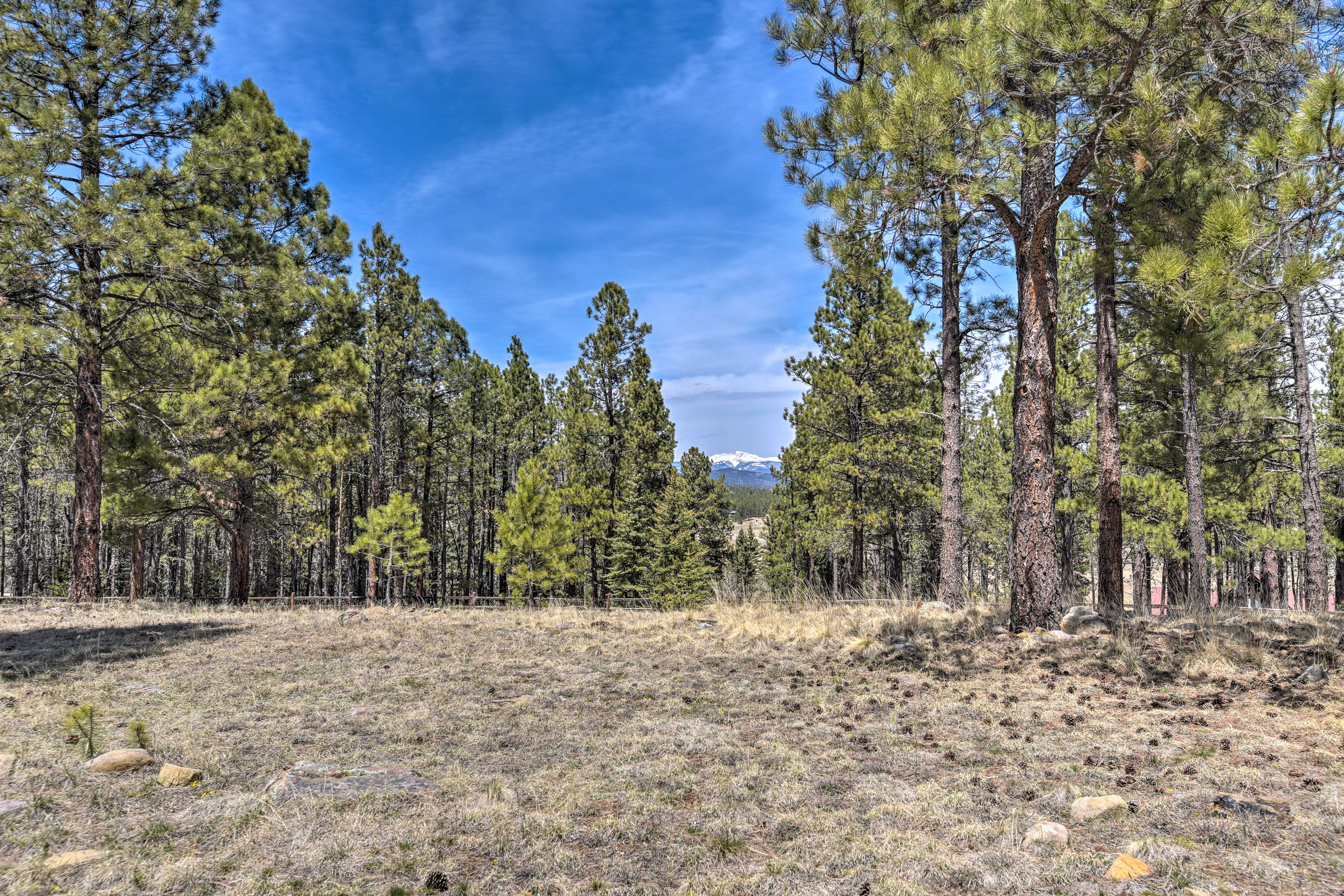 Property Image 2 - Grand Angel Fire Retreat w/ Hot Tub & Fire Pit!