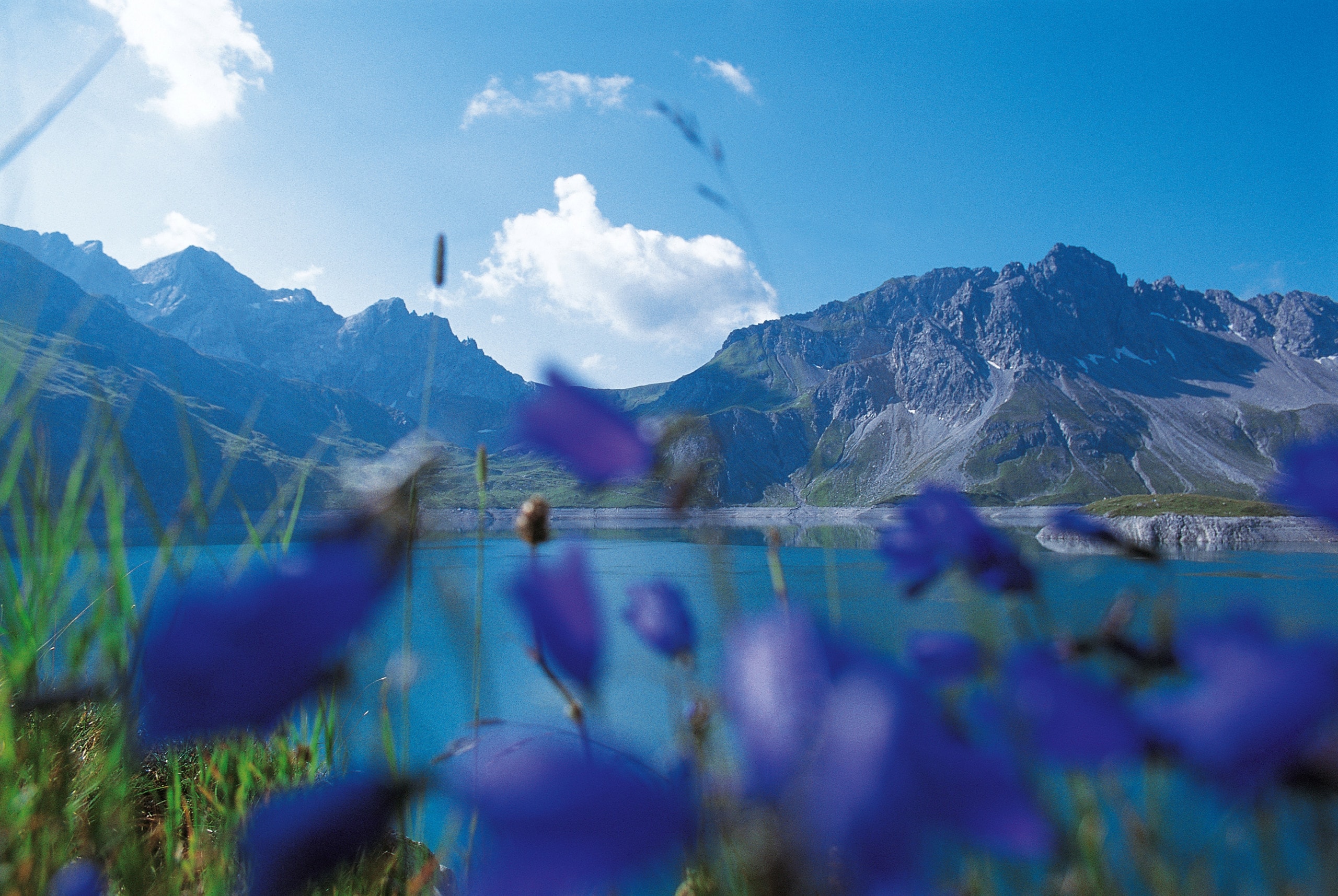 Gartenappartement Murmele