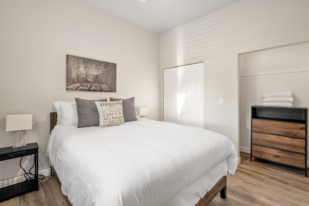 Ample closet space in the second bedroom
