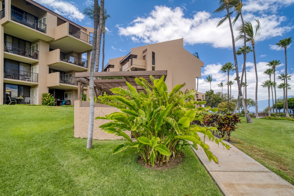 Tropical surroundings