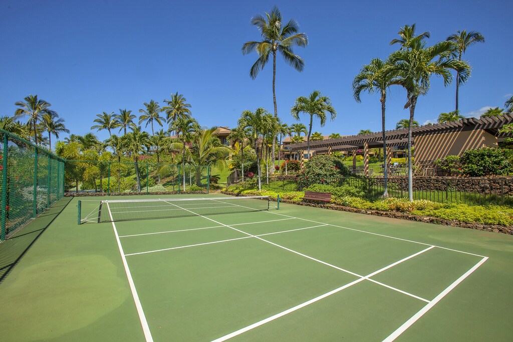 Pickle ball court for Ekahi guest use