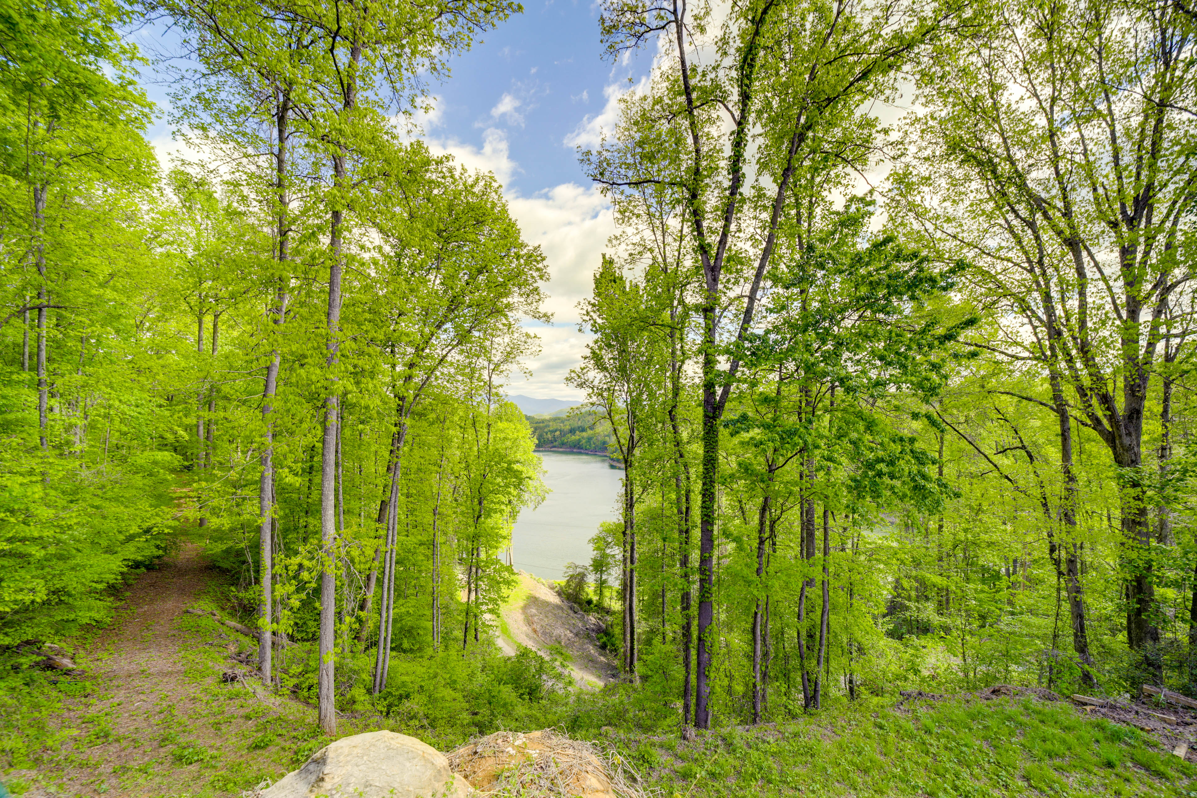 Property Image 2 - Bryson City Vacation Rental - Hot Tub & Lake Views