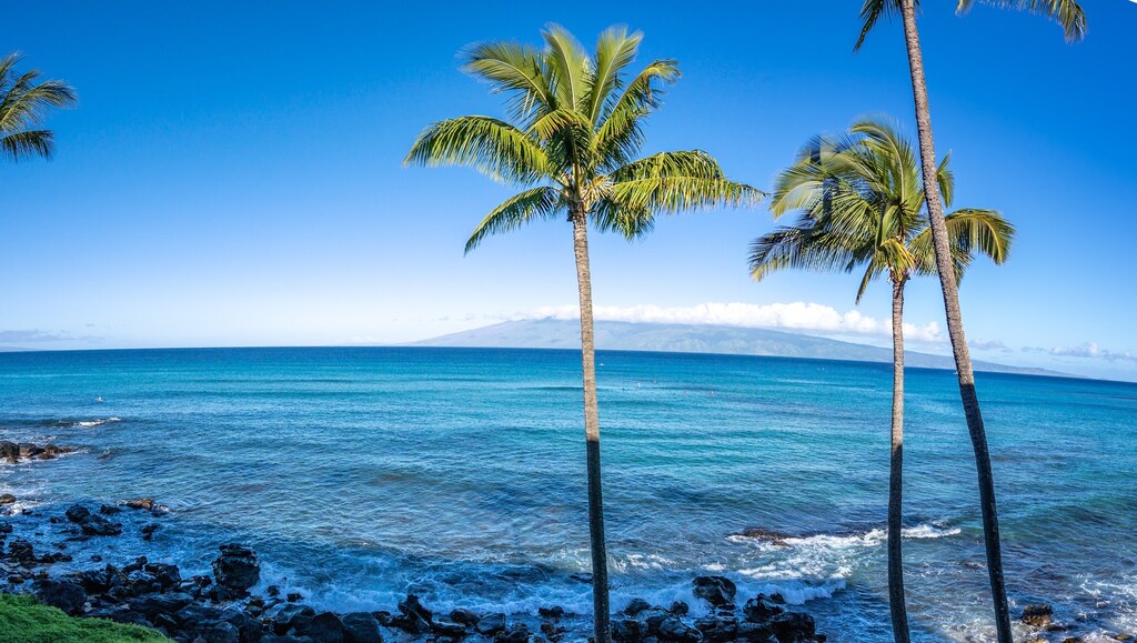 Imagine waking up to this view