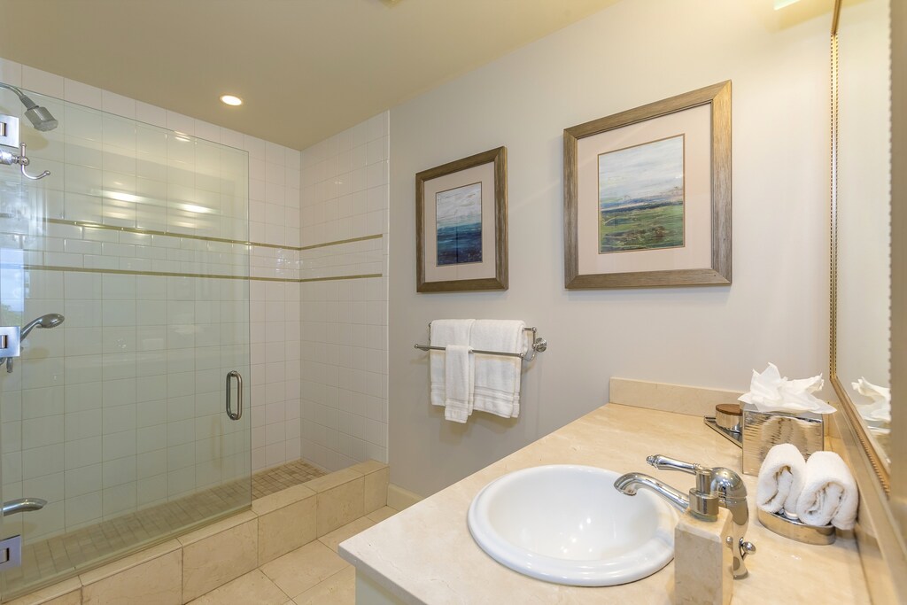Guest bathroom with shower.
