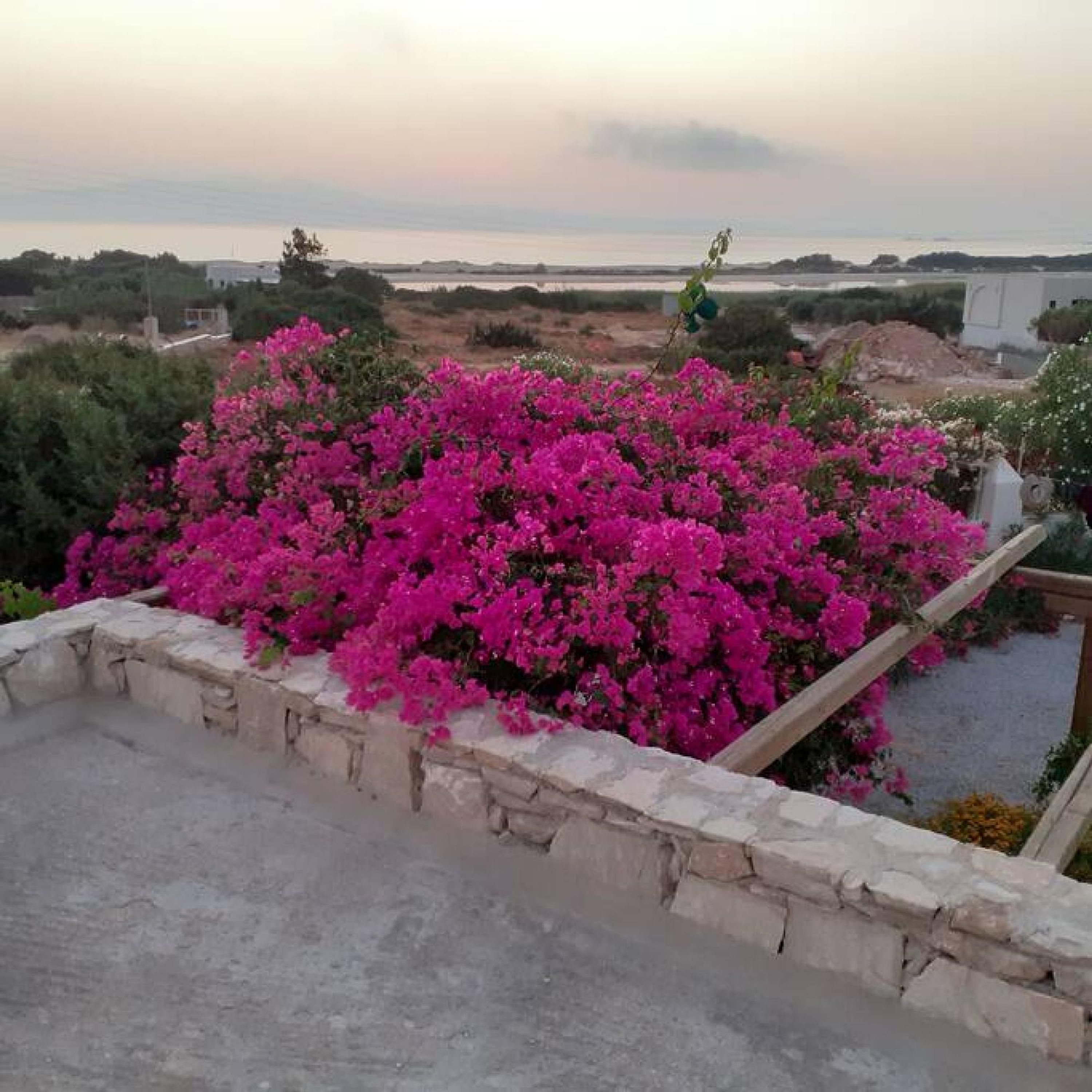 Property Image 2 - Naxos Alyko Traditional Vacation House   Mitatos  